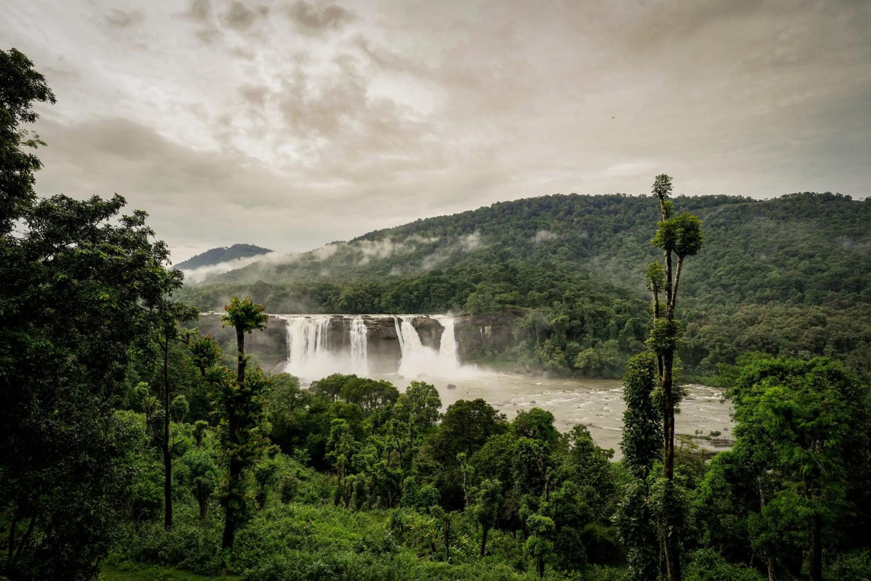 Natural landscape in Bluemist Resorts
