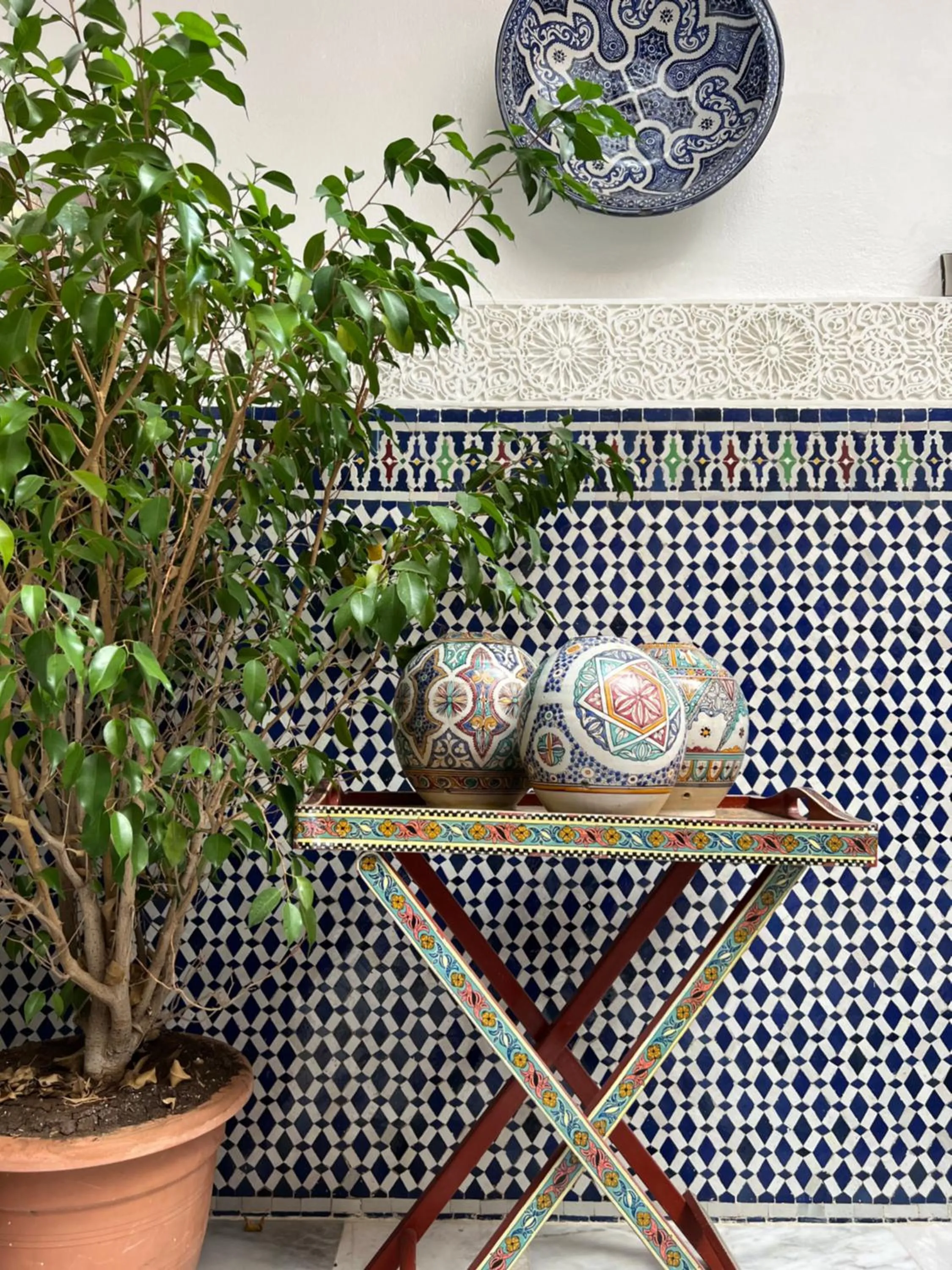 Garden in Riad Tafoukt Palace