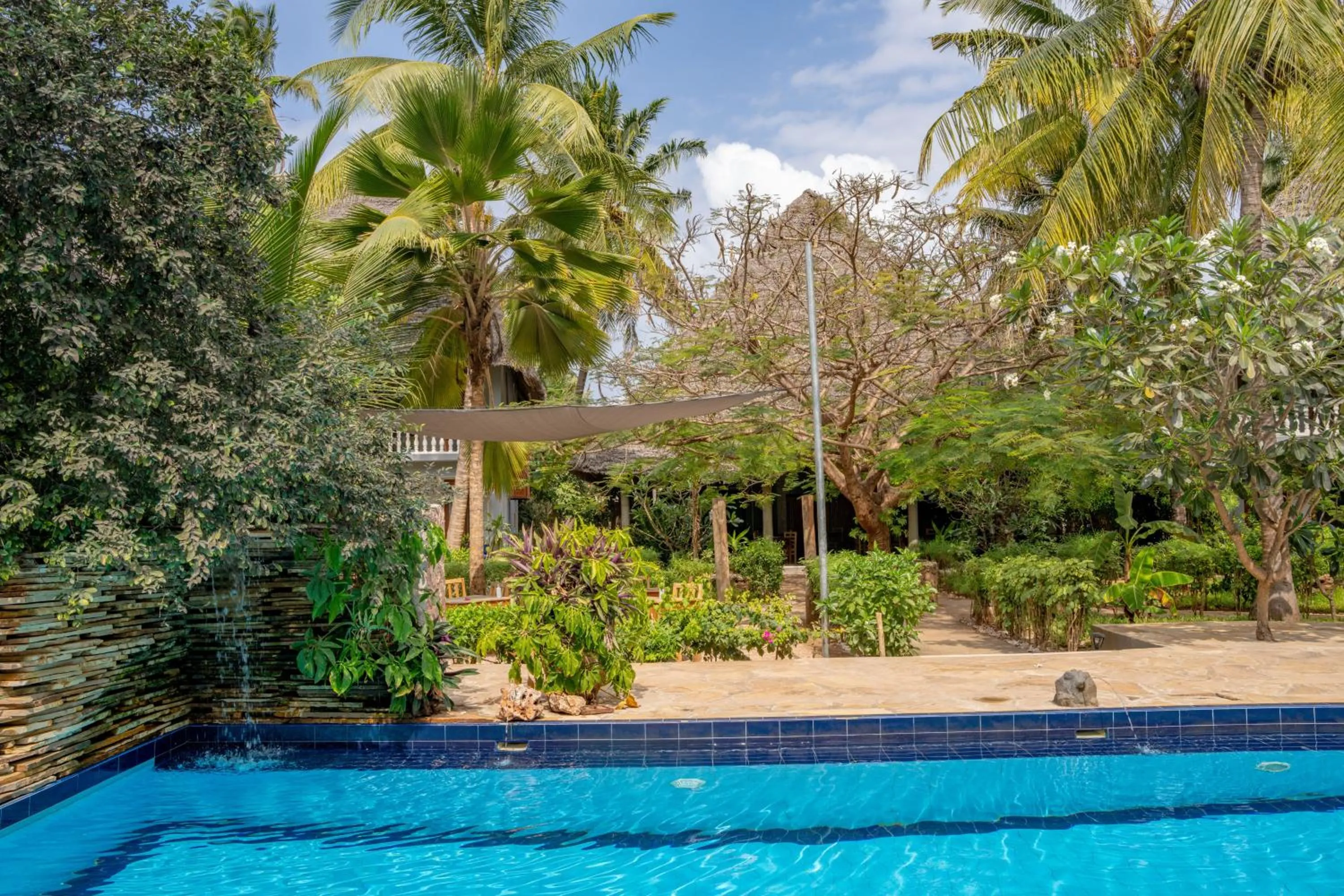 Swimming pool in Michamvi Sunset Bay