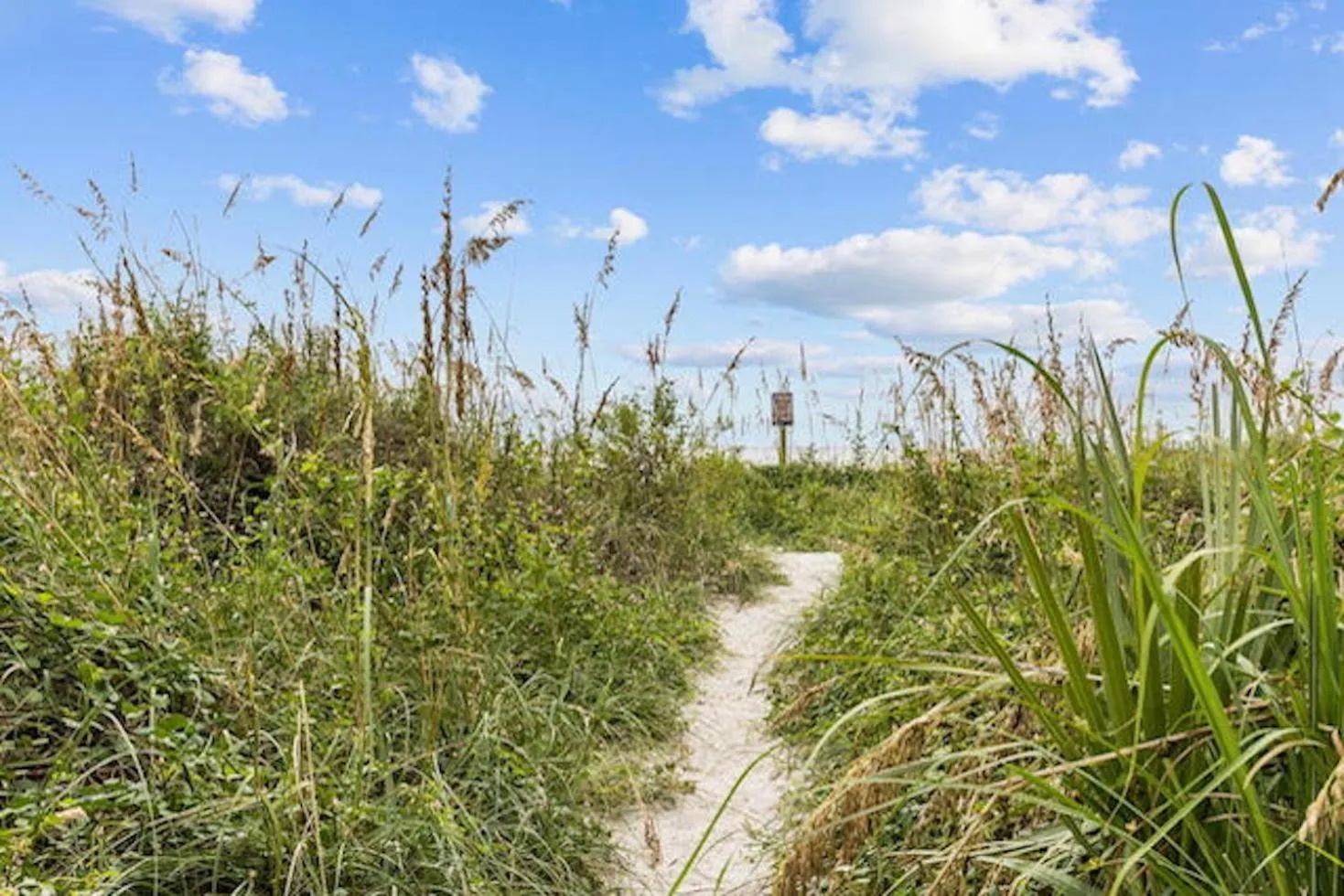 Beach in The Red Tree Inn