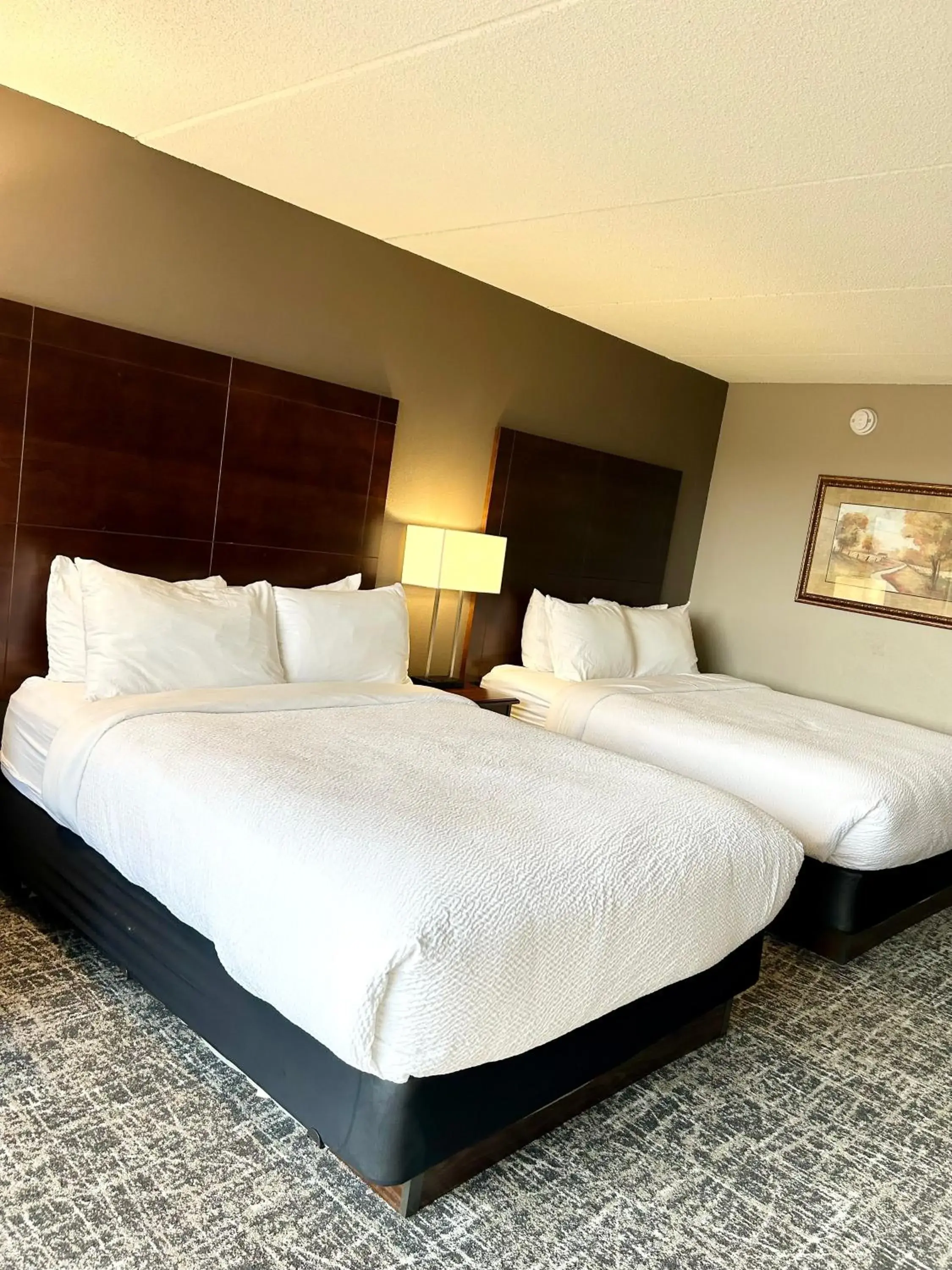 Queen Studio with Two Queen Beds - Non-Smoking in Best Western Plus Kelly Inn Queen Studio with Two Queen Beds - Non-Smoking in Best Western Plus Kelly Inn