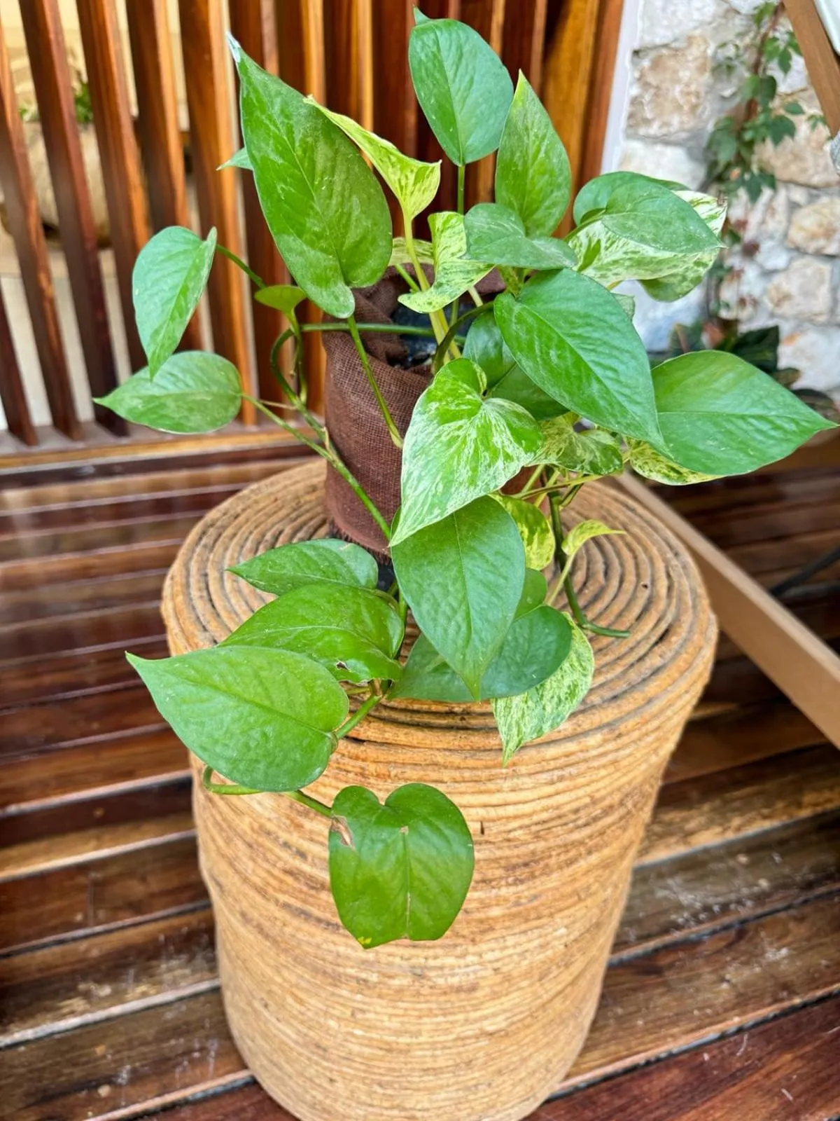 Casa Ita Surf - Adults Only