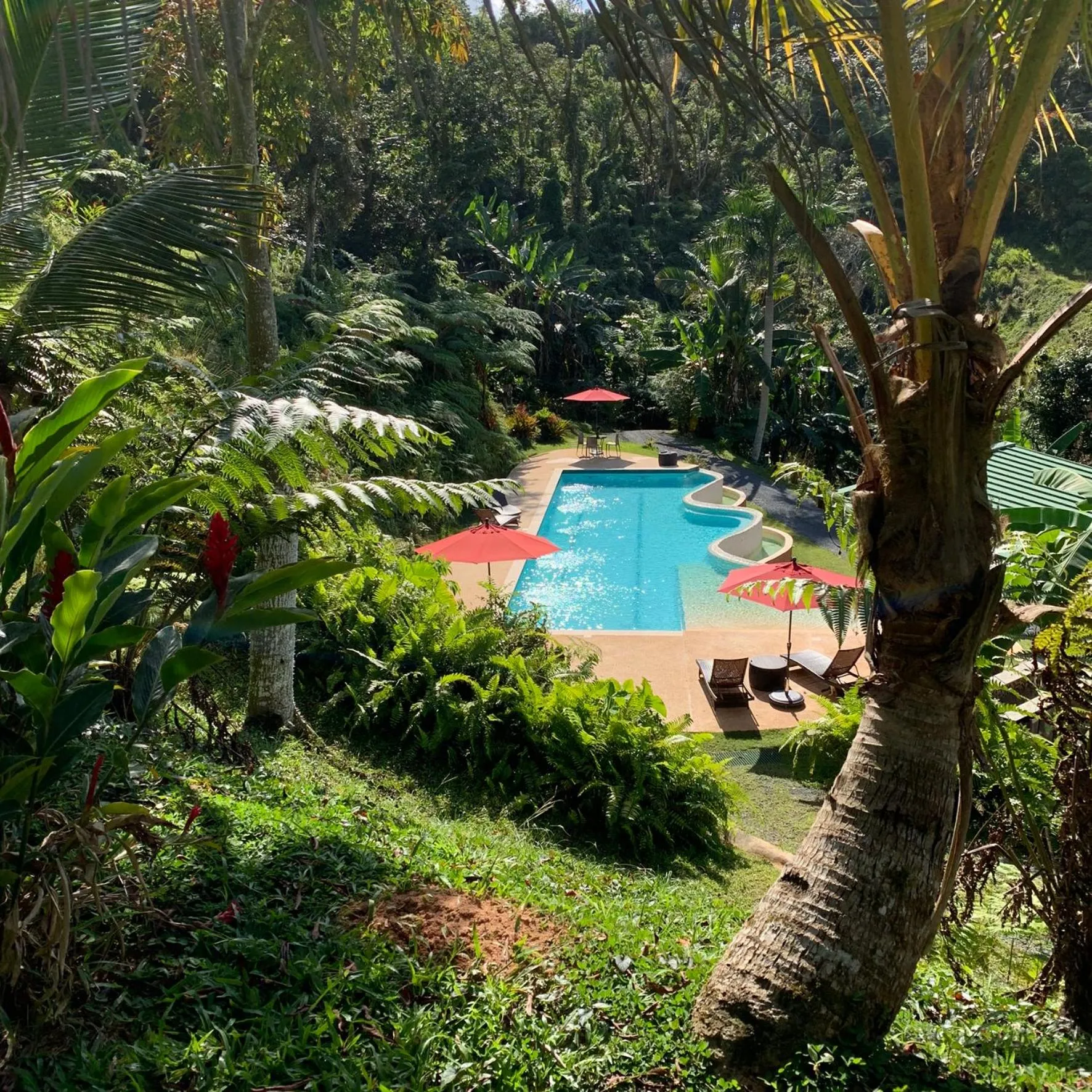 Pool view in Mont Carpe Diem