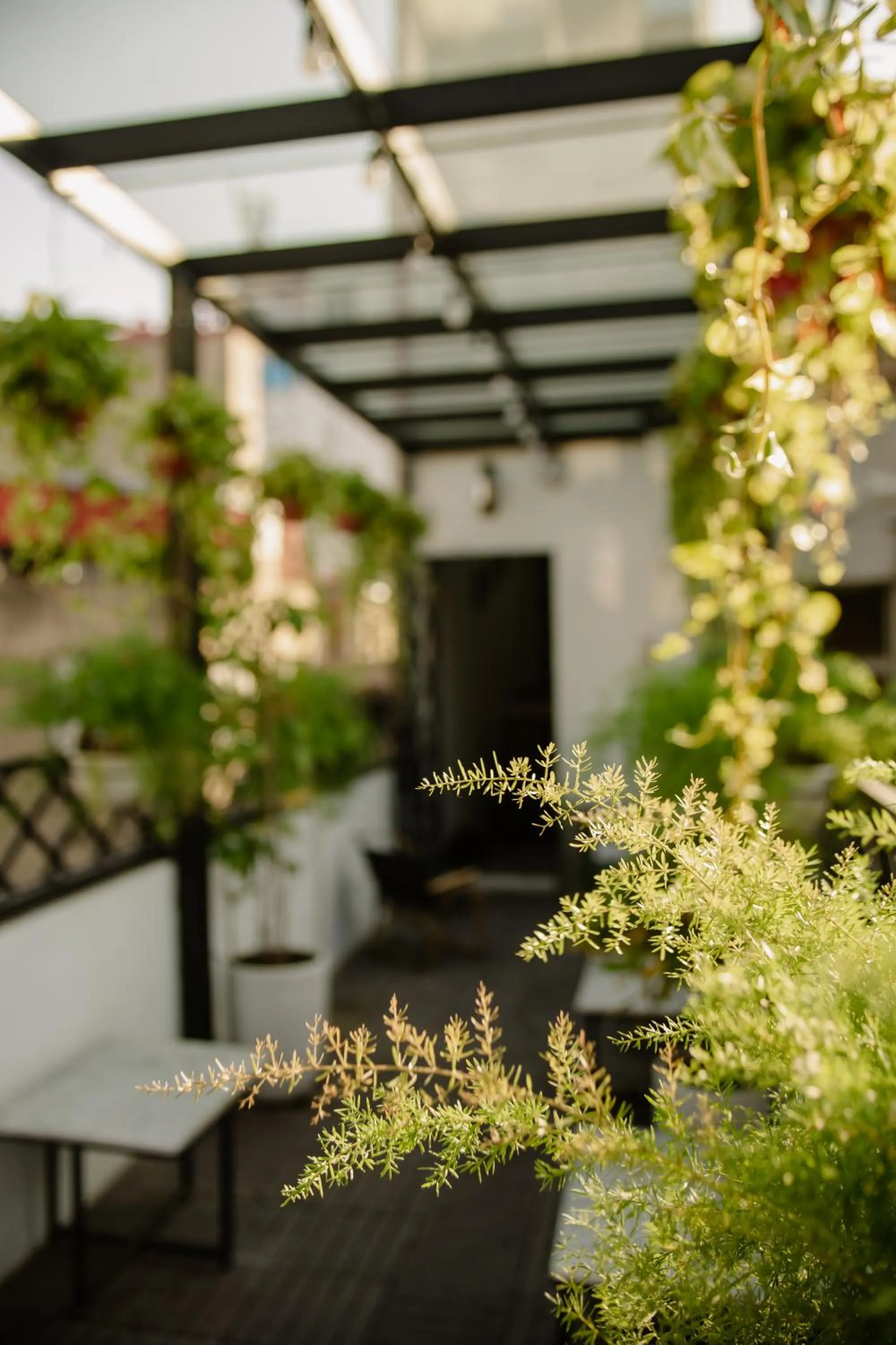 Day in Lanha Hotel - Homestay