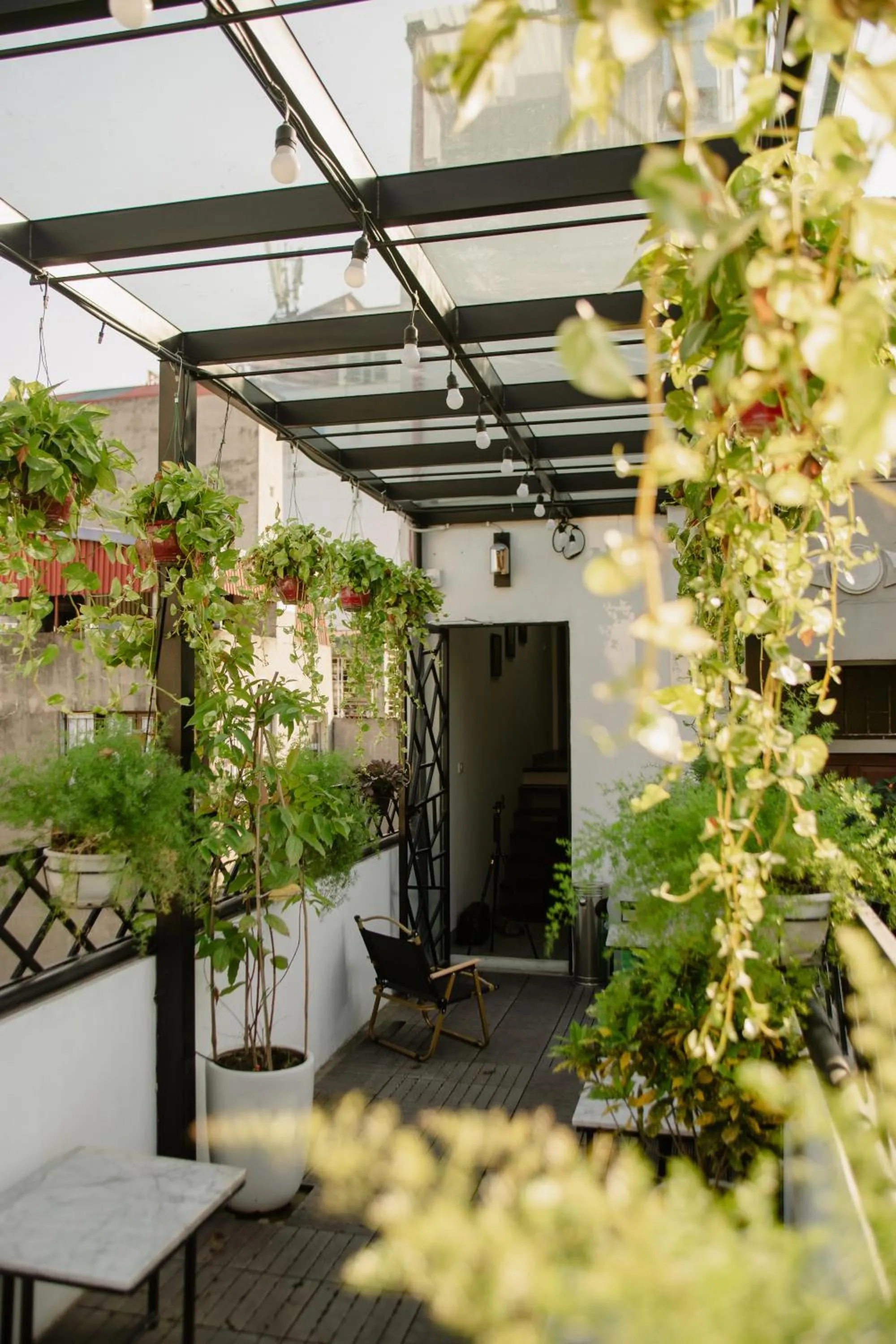 Garden in Lanha Hotel - Homestay