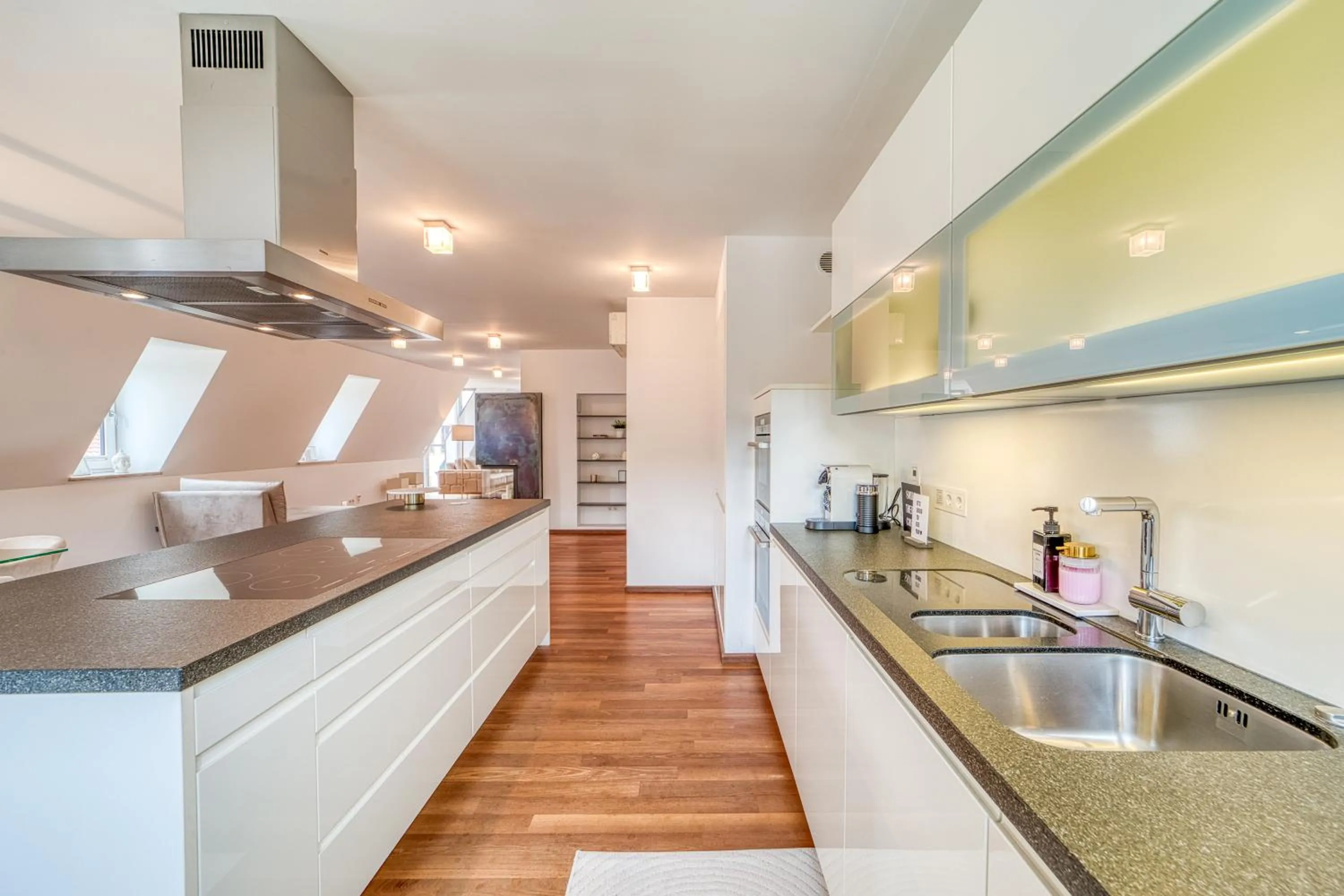 Luxury Penthouse in the center