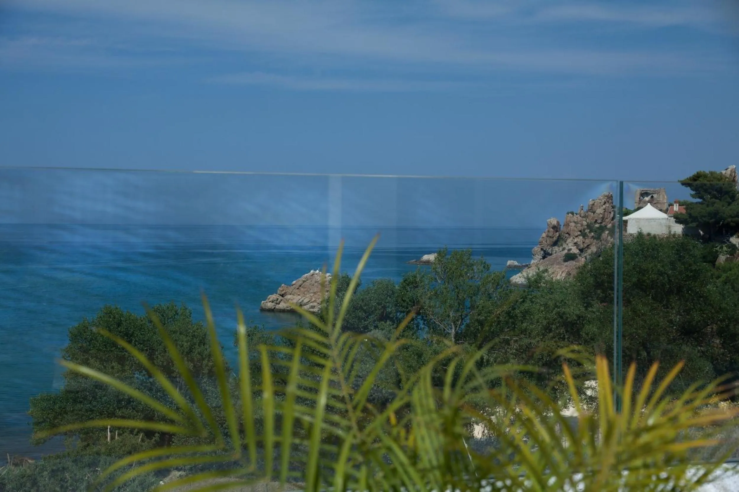 View (from property/room) in A Tonnara