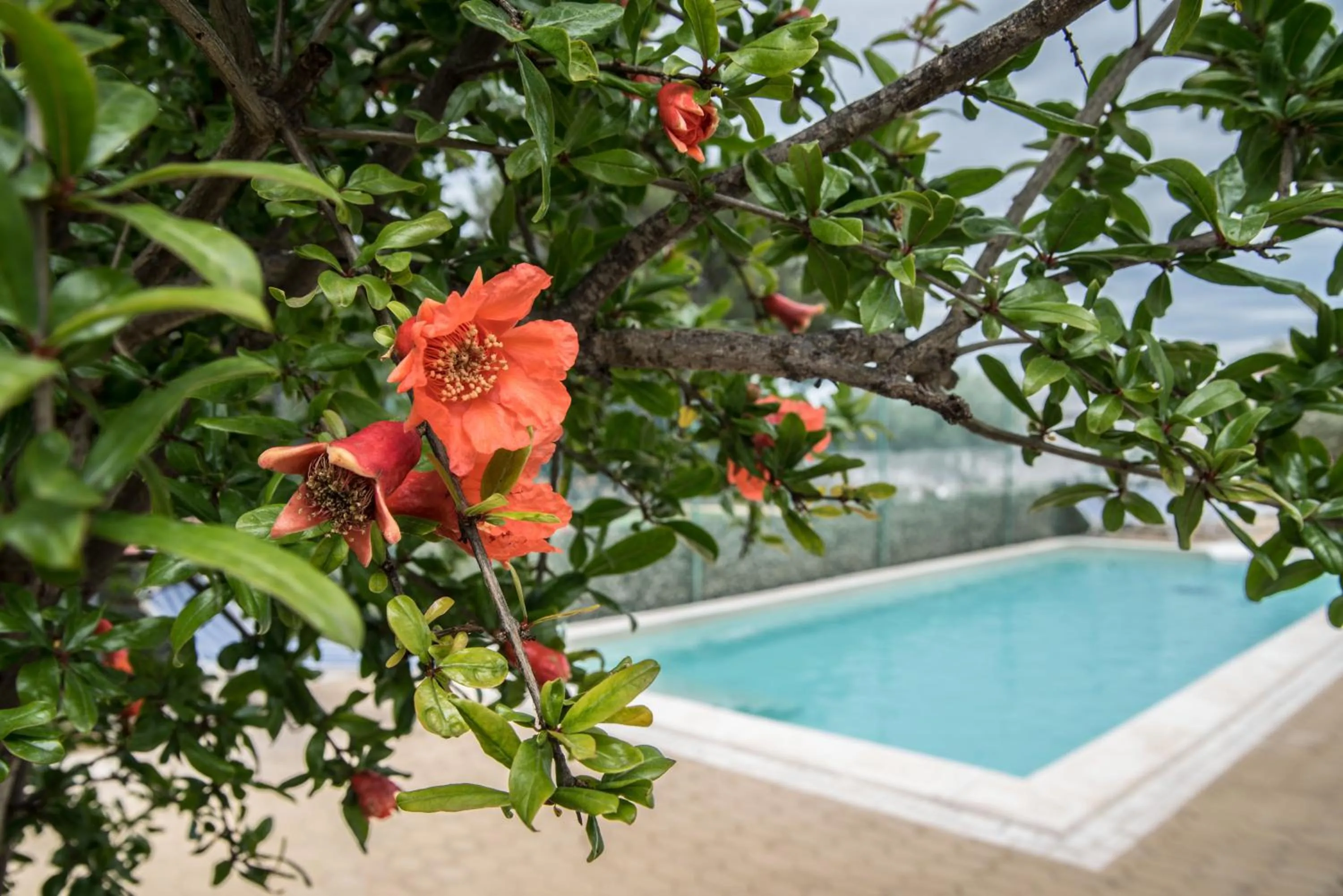 Pool view in Villa Lara