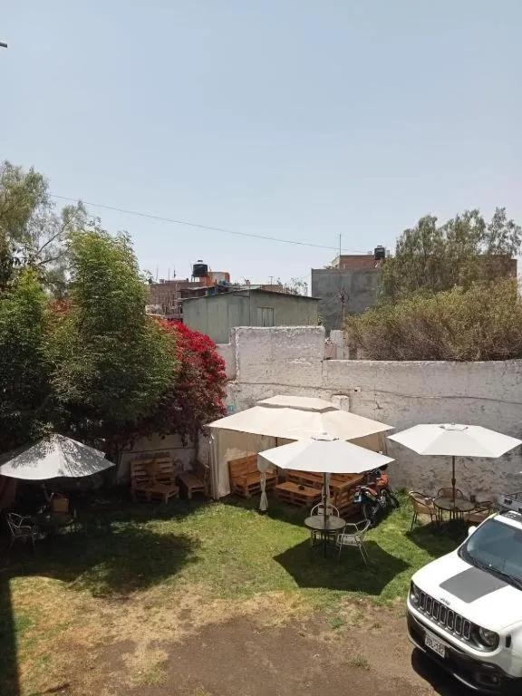 Garden in Hotel Juan de la Torre