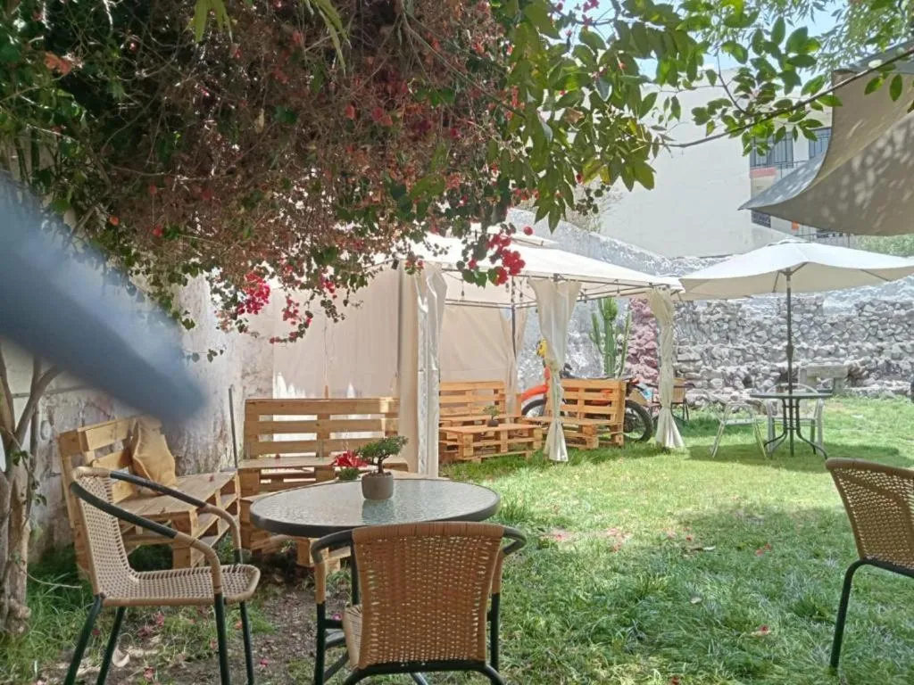 Garden in Hotel Juan de la Torre