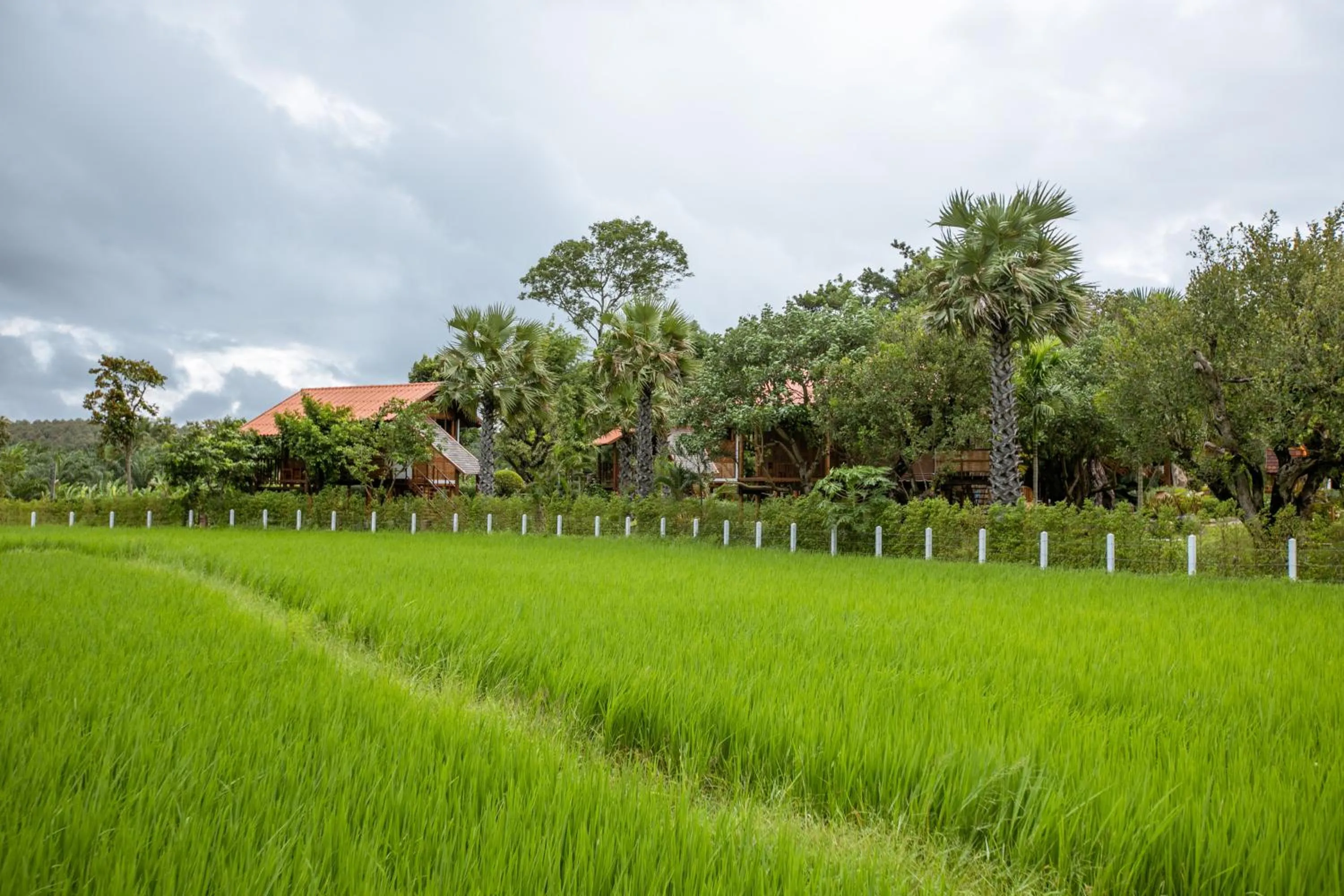 View (from property/room) in Saksila Resort
