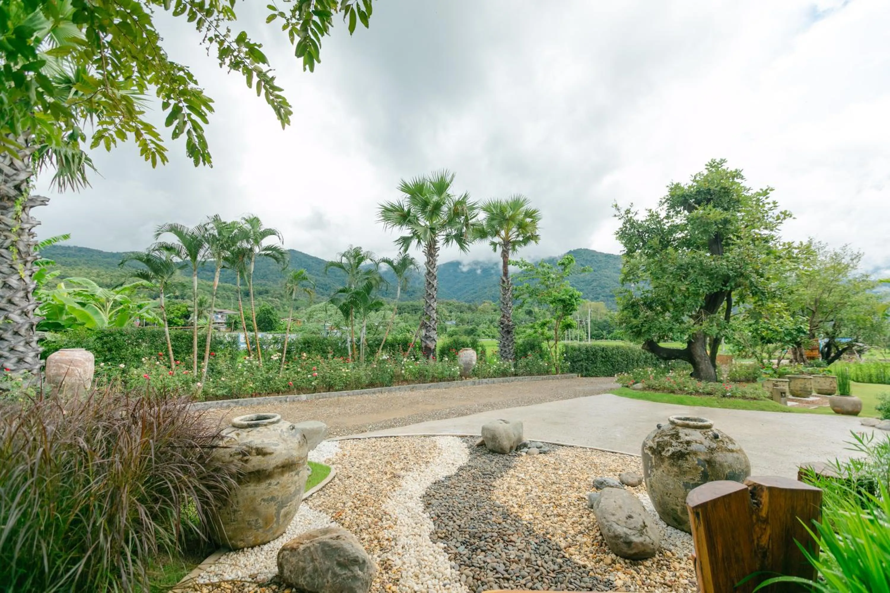 Garden in Saksila Resort
