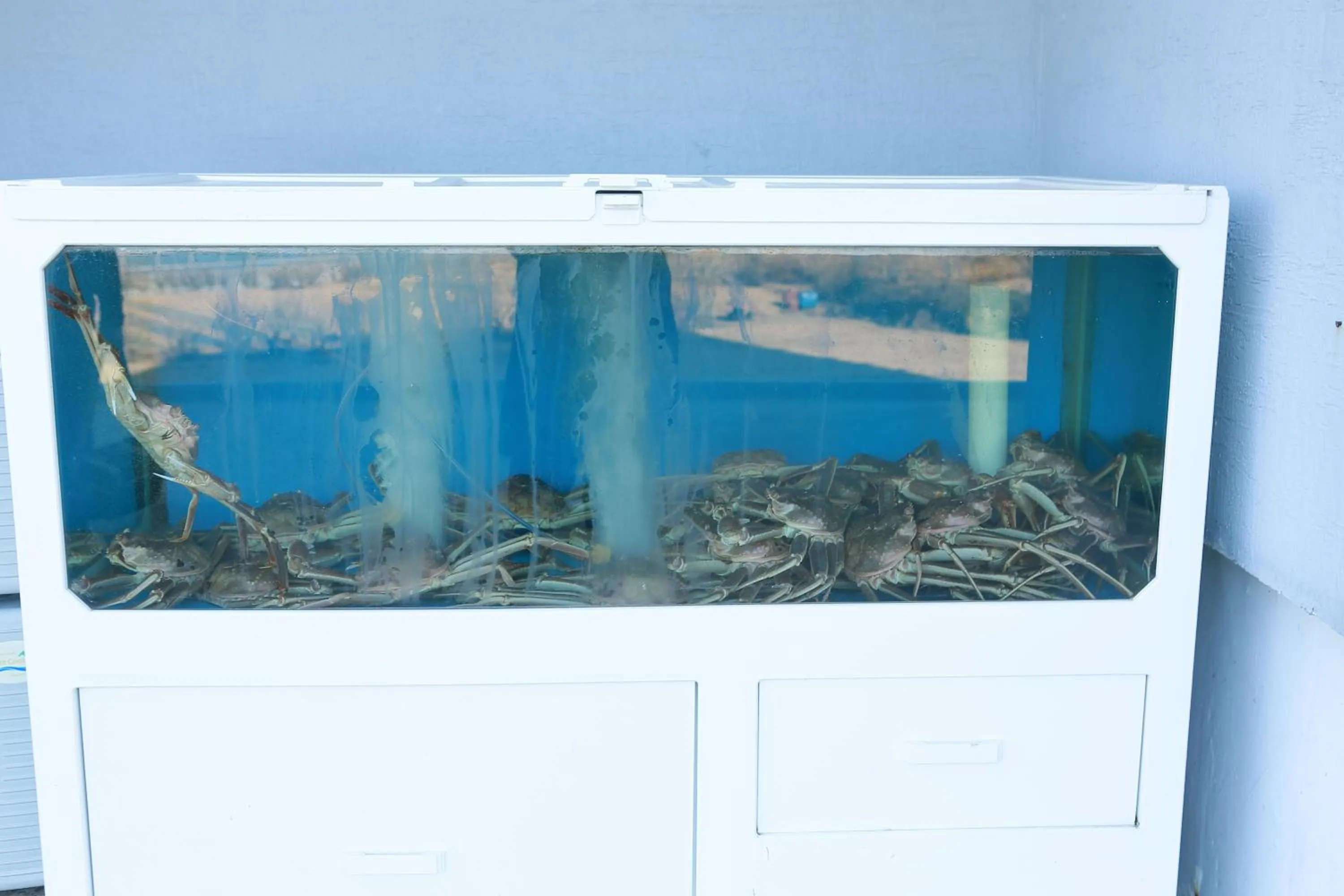 Mangsang Beach Pension