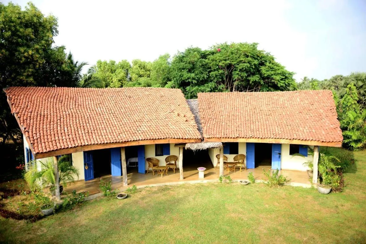 Property building in Palagama Beach Resort