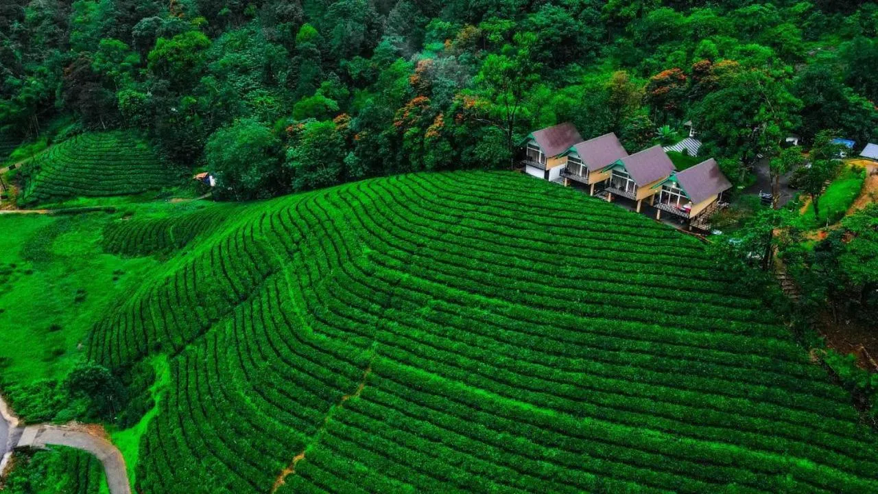 Zero Degree Jungle Resort