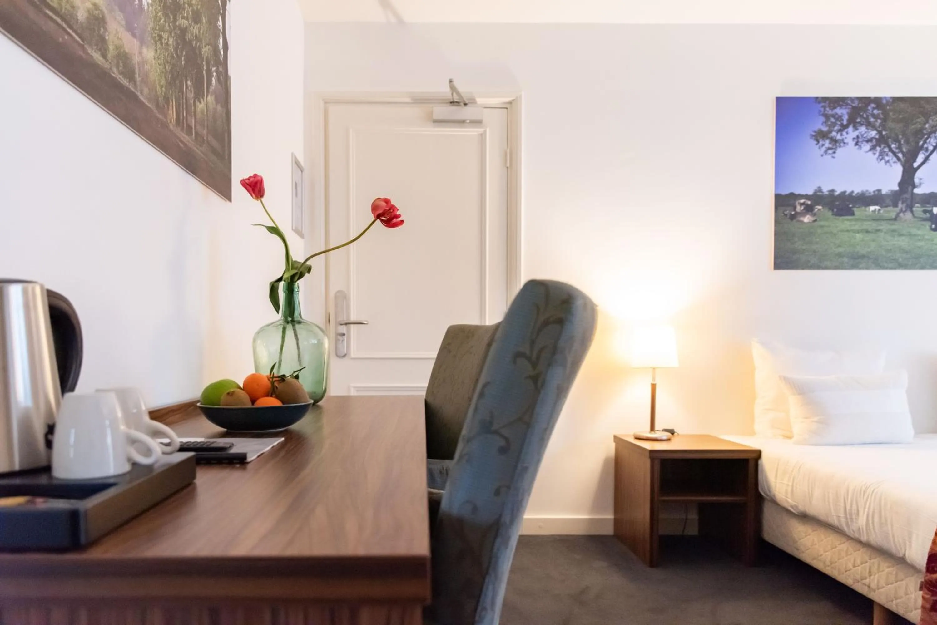 TV and multimedia in De Zwaan Delden