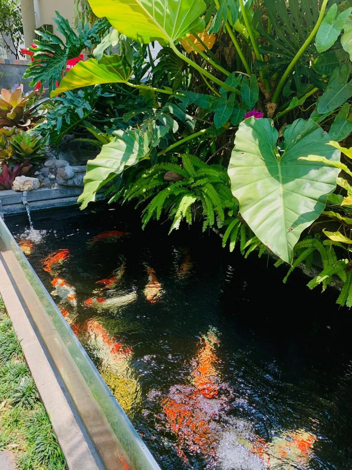 Pool view in Sinergi Hotel & Villa