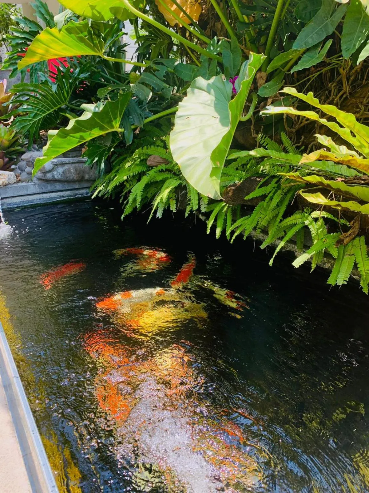 Pool view in Sinergi Hotel & Villa