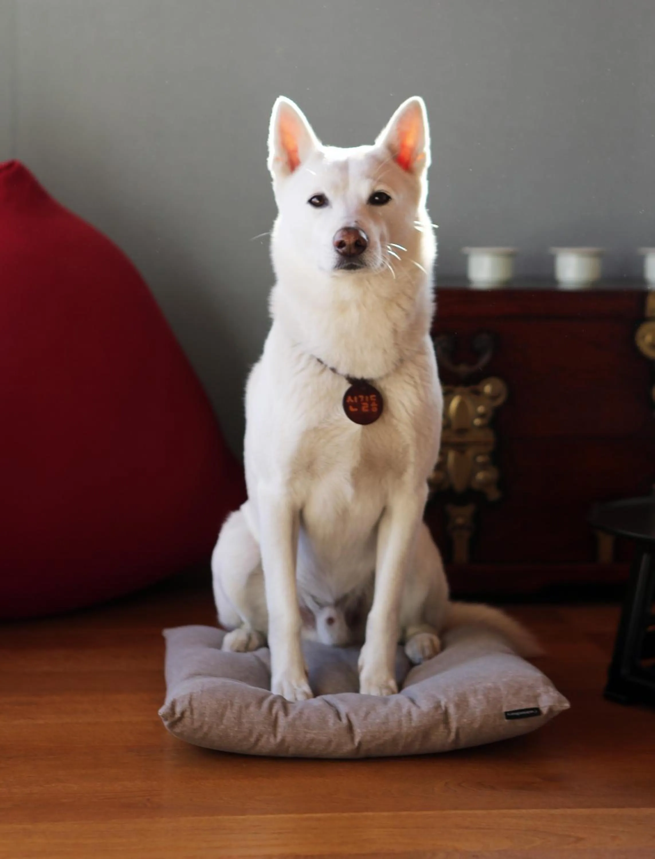 Hotelarrive Taean Tiann HanokBeachResort