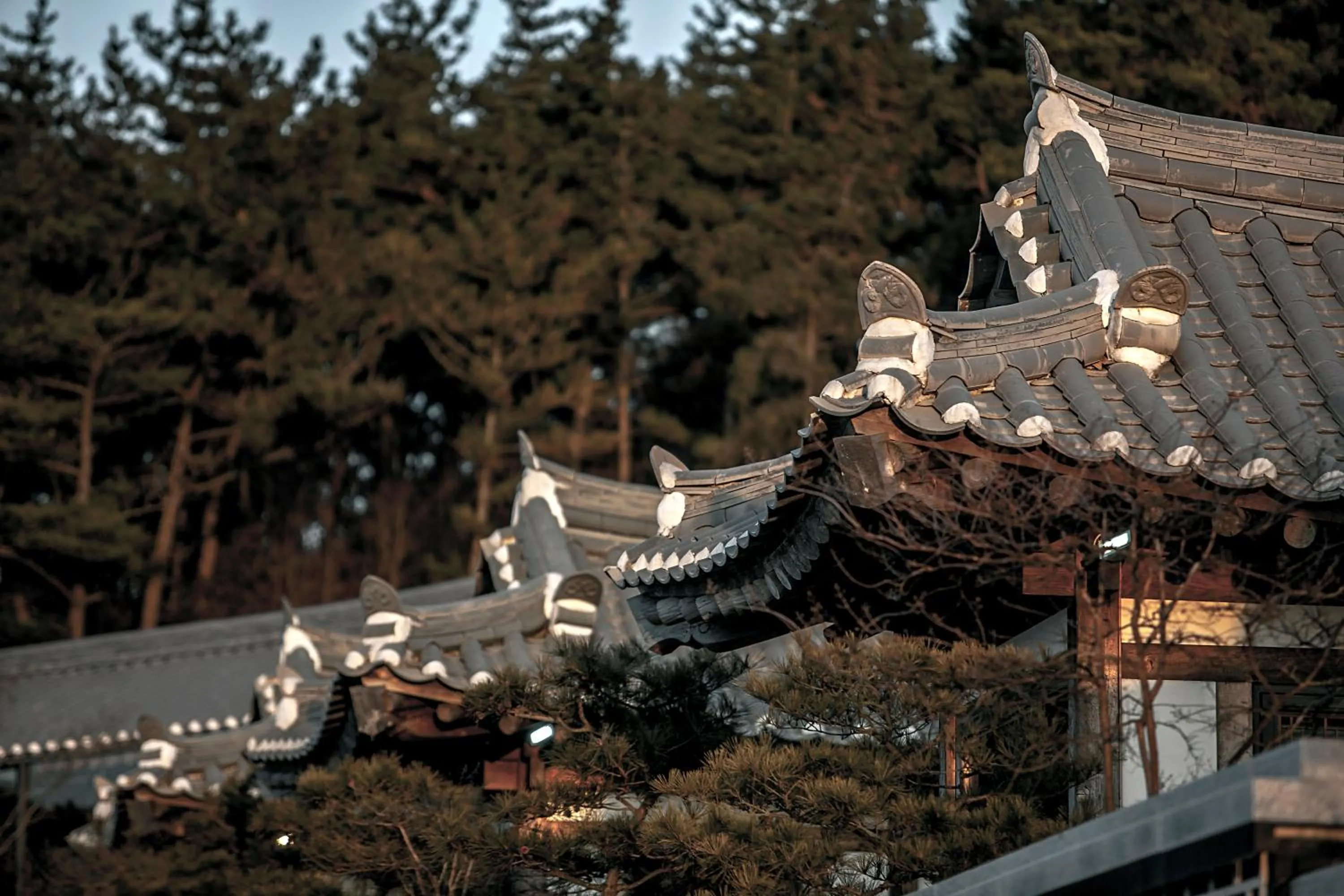 Hotelarrive Taean Tiann HanokBeachResort