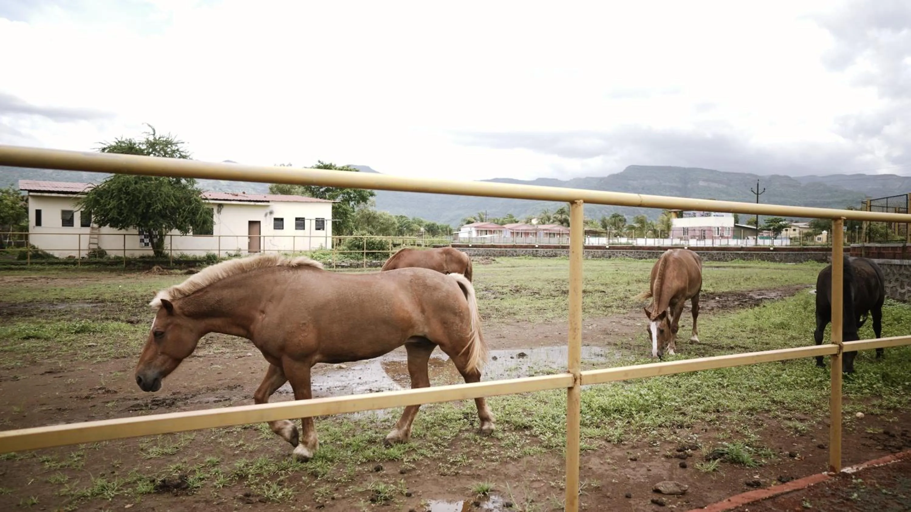 Pegasus Lifestyle Resort Karjat