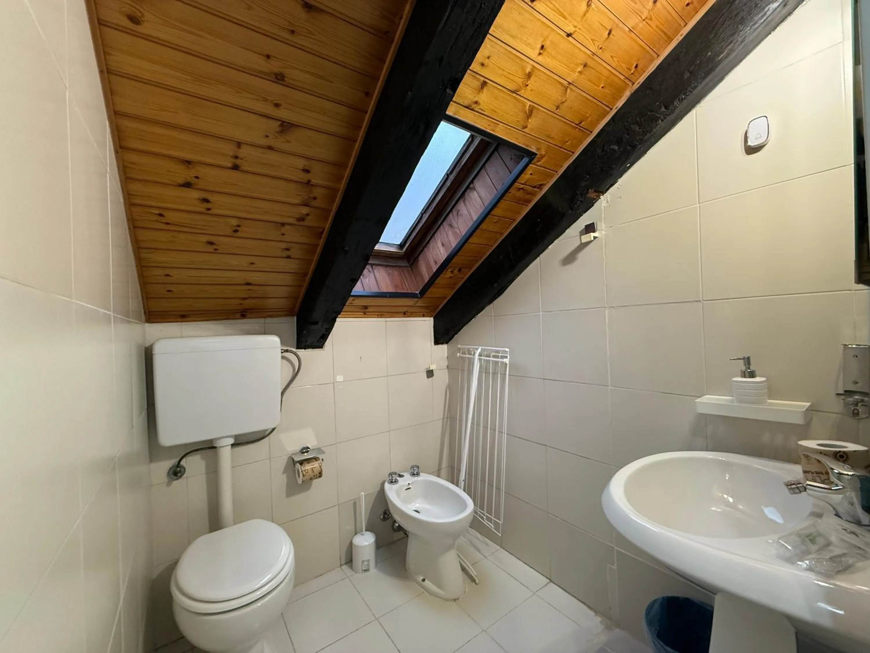 Toilet in Hosting Dreams Attics - Duomo