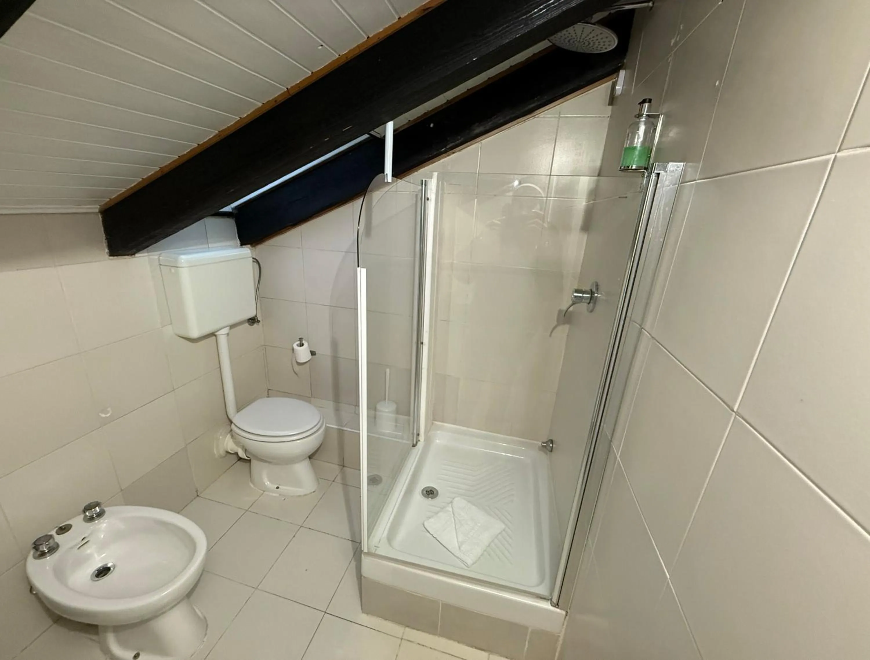 Shower in Hosting Dreams Attics - Duomo