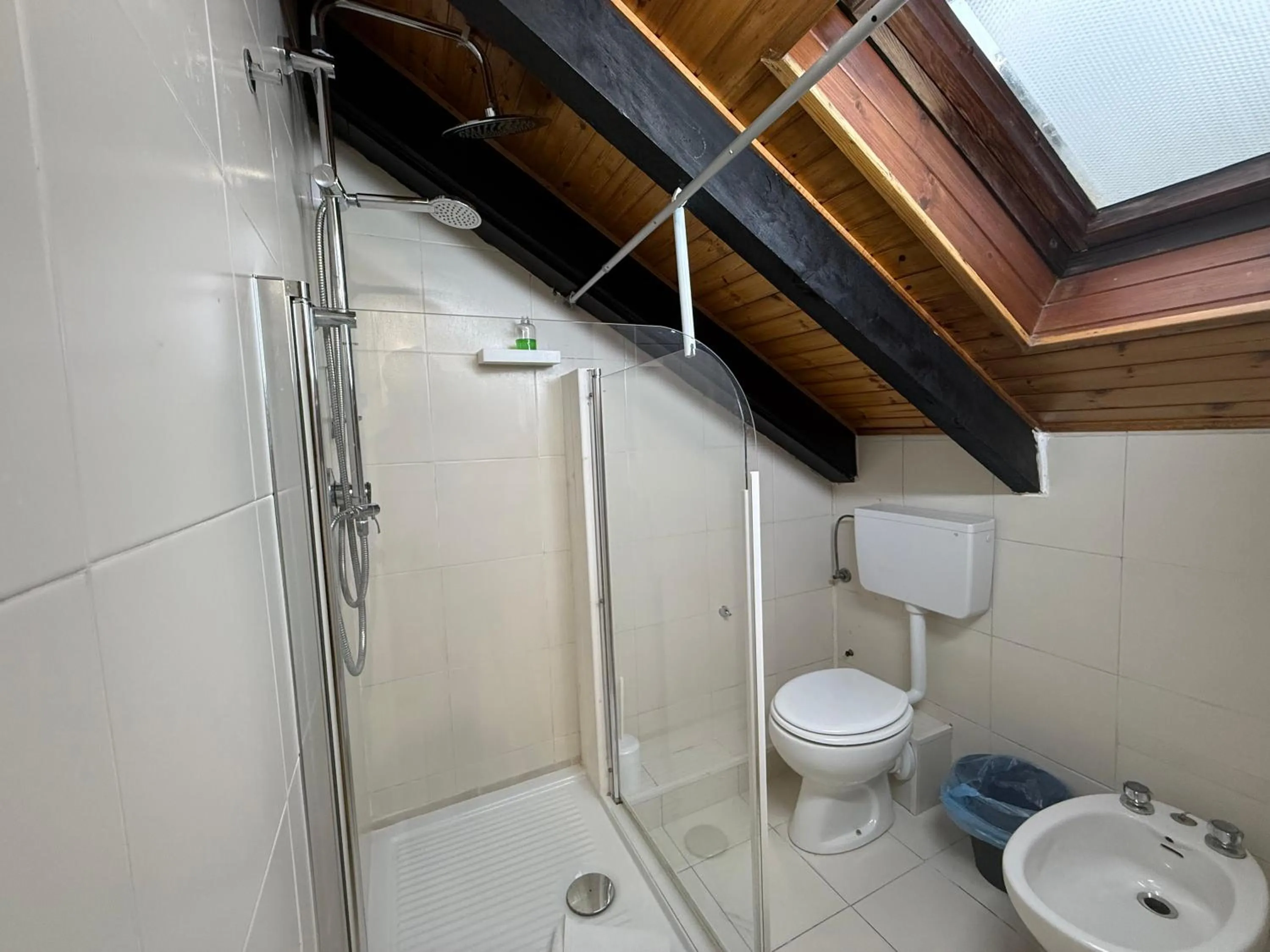 Shower in Hosting Dreams Attics - Duomo