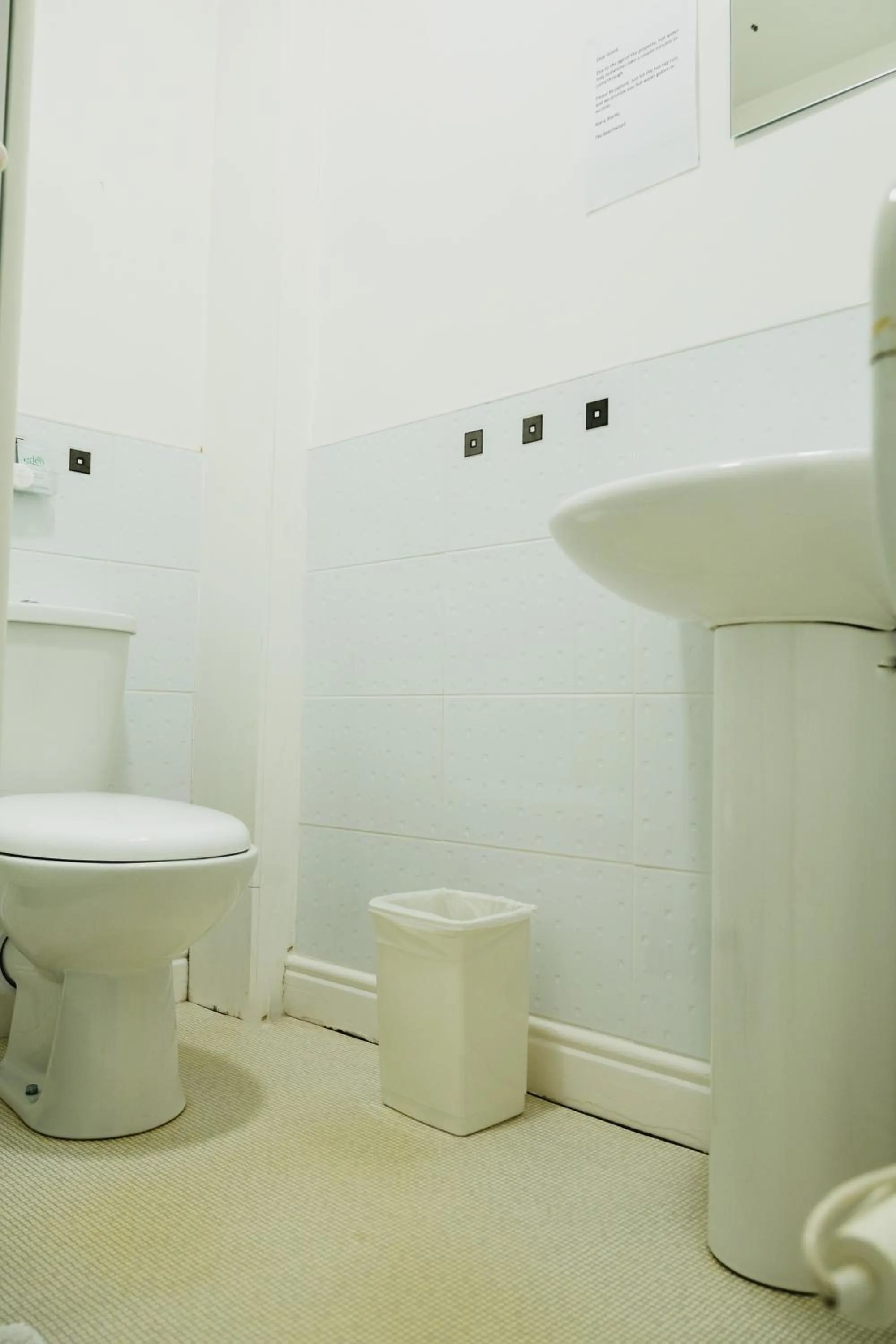 Toilet in The Beechwood