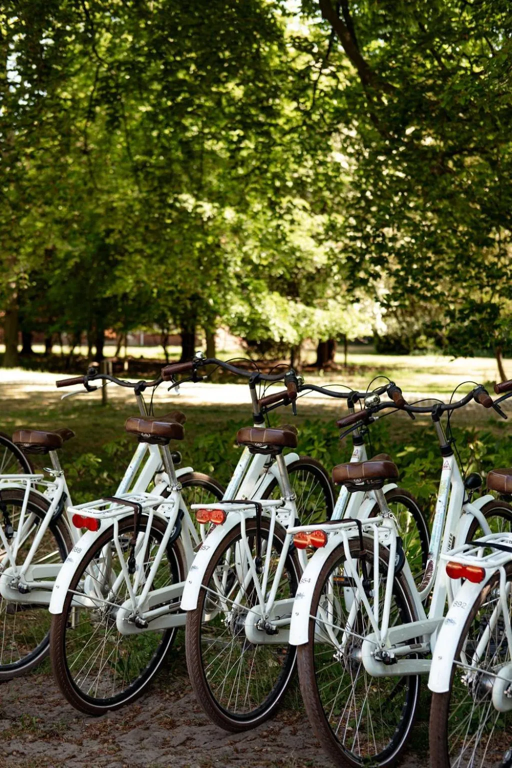 Day in Landgoed Duin & Kruidberg