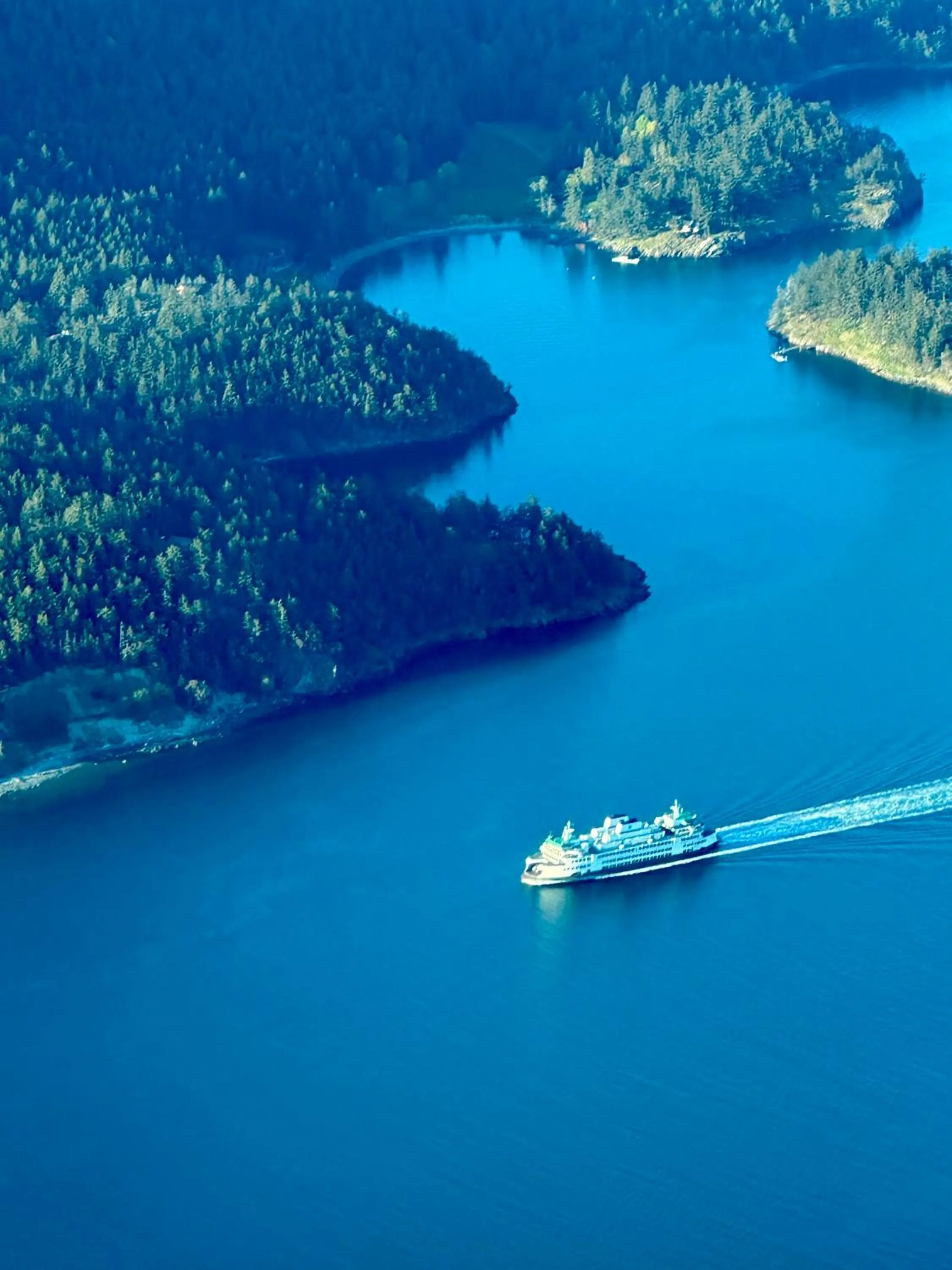 Natural landscape in Orcas Hotel