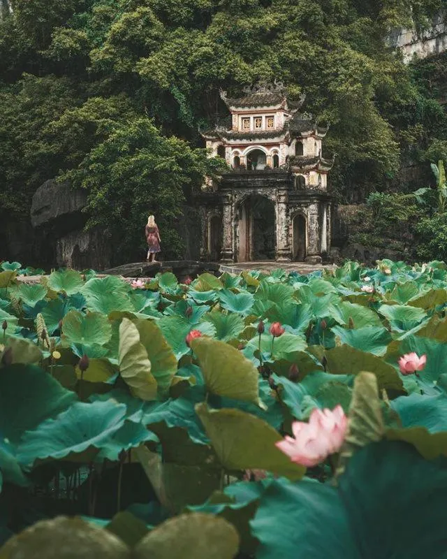 Natural landscape in Yen Nhi Hotel Ninh Binh