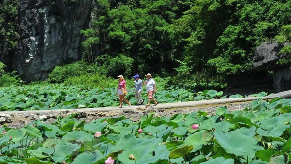 Natural landscape in Yen Nhi Hotel Ninh Binh
