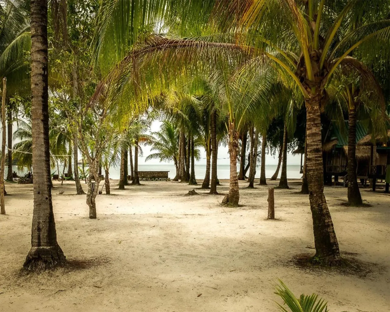 Beach in Salacia's Suite