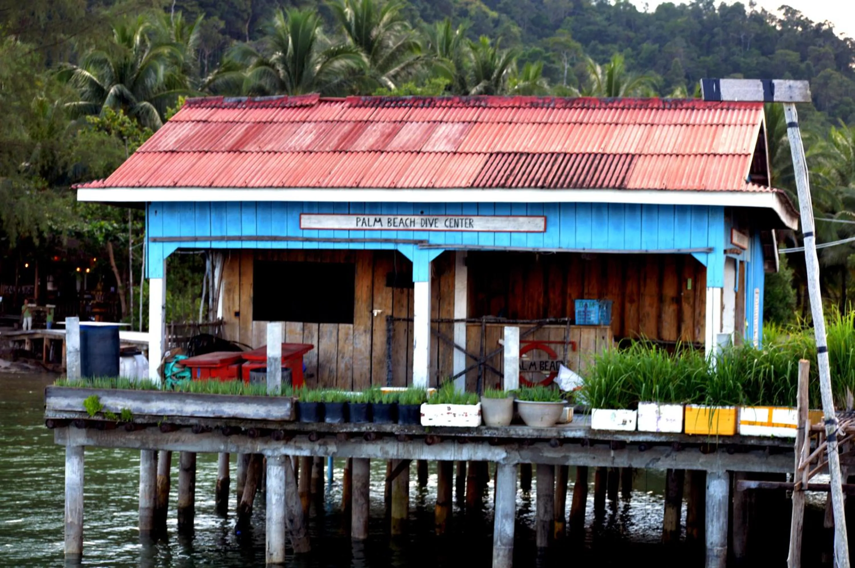 Other in Salacia's Suite