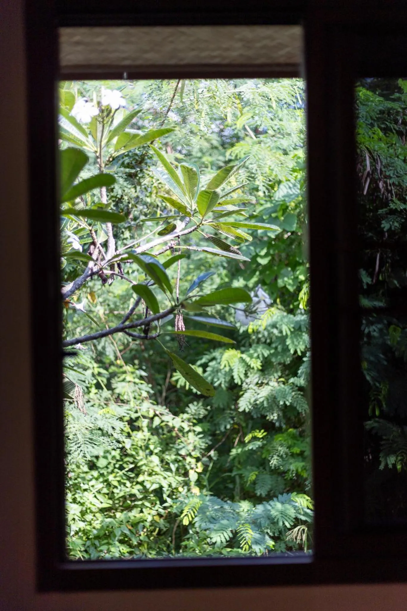 Natural landscape in Pai happyvillage_yeon