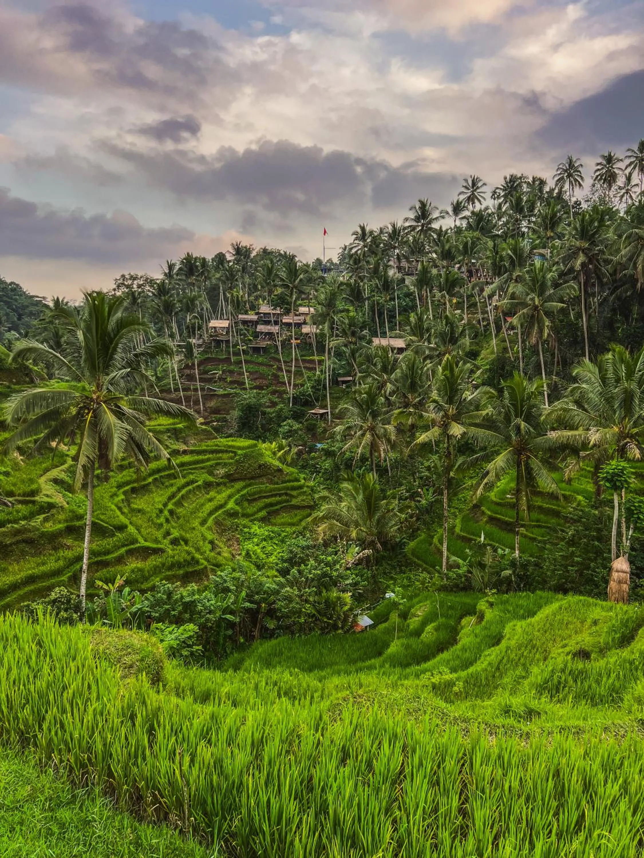 Serendipity - Villa Kemuning