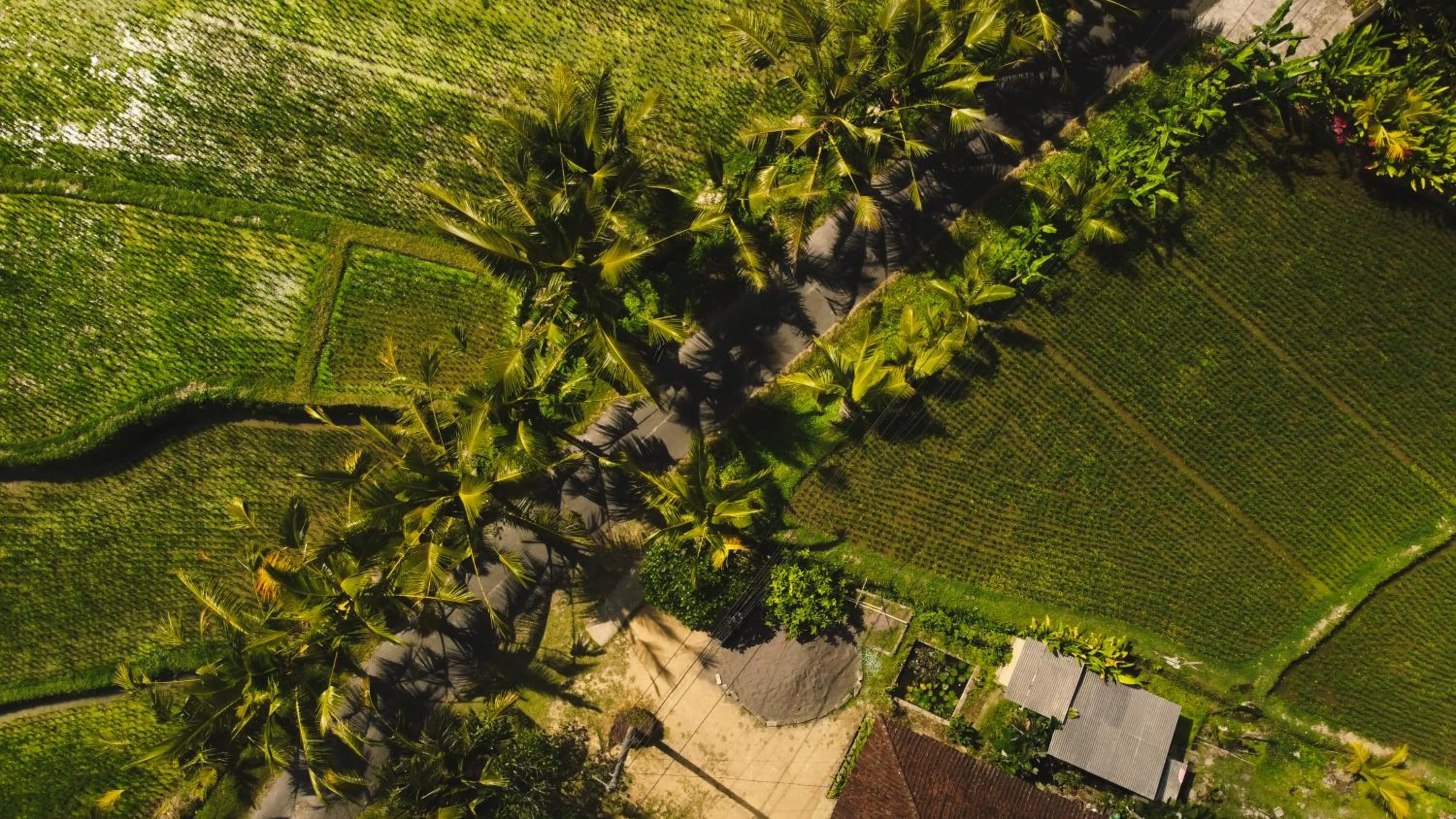 Serendipity - Villa Kemuning