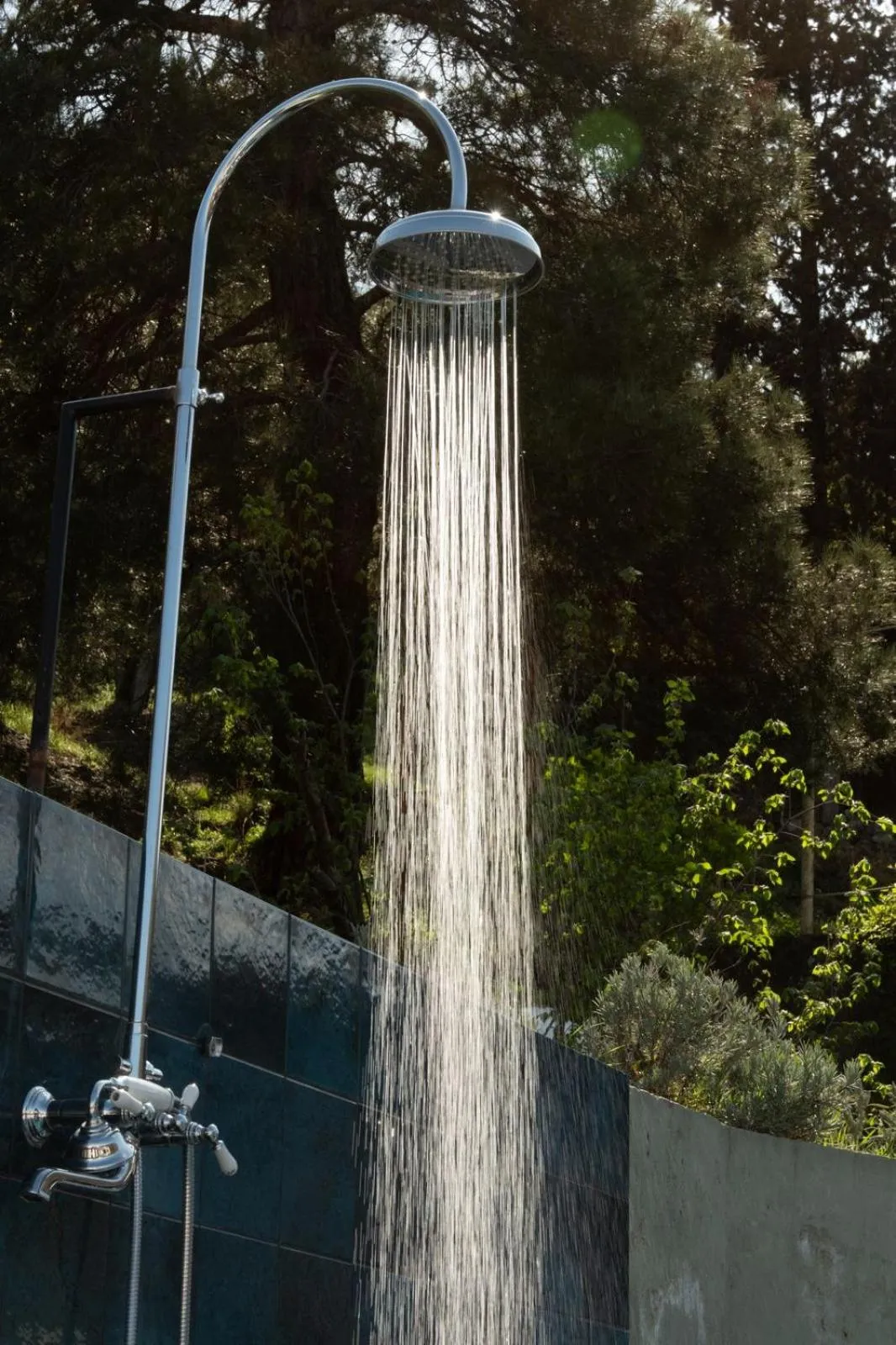 Day in Margot Sololaki