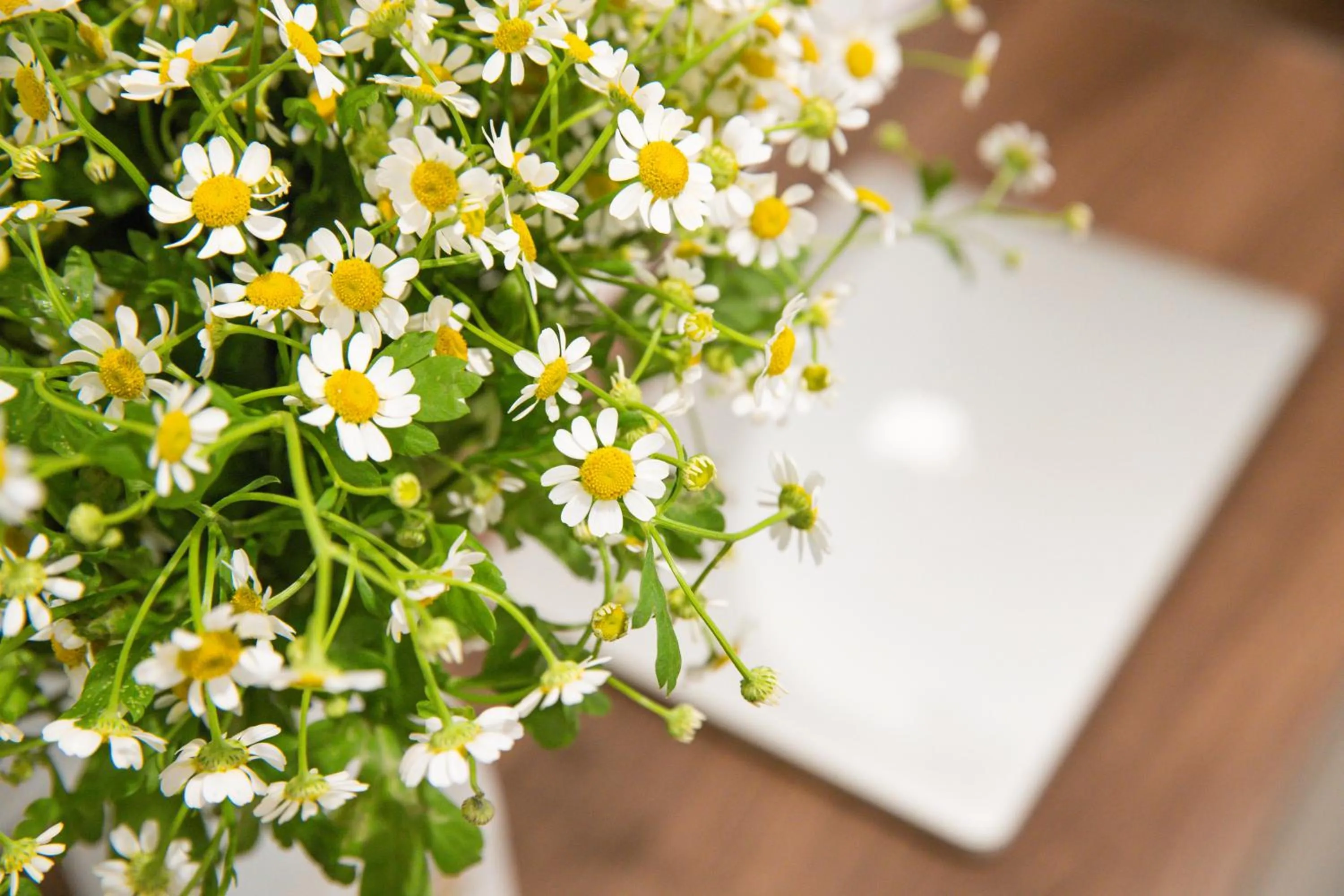 Seating area in Hoang Linh Riverside Hotel Danang
