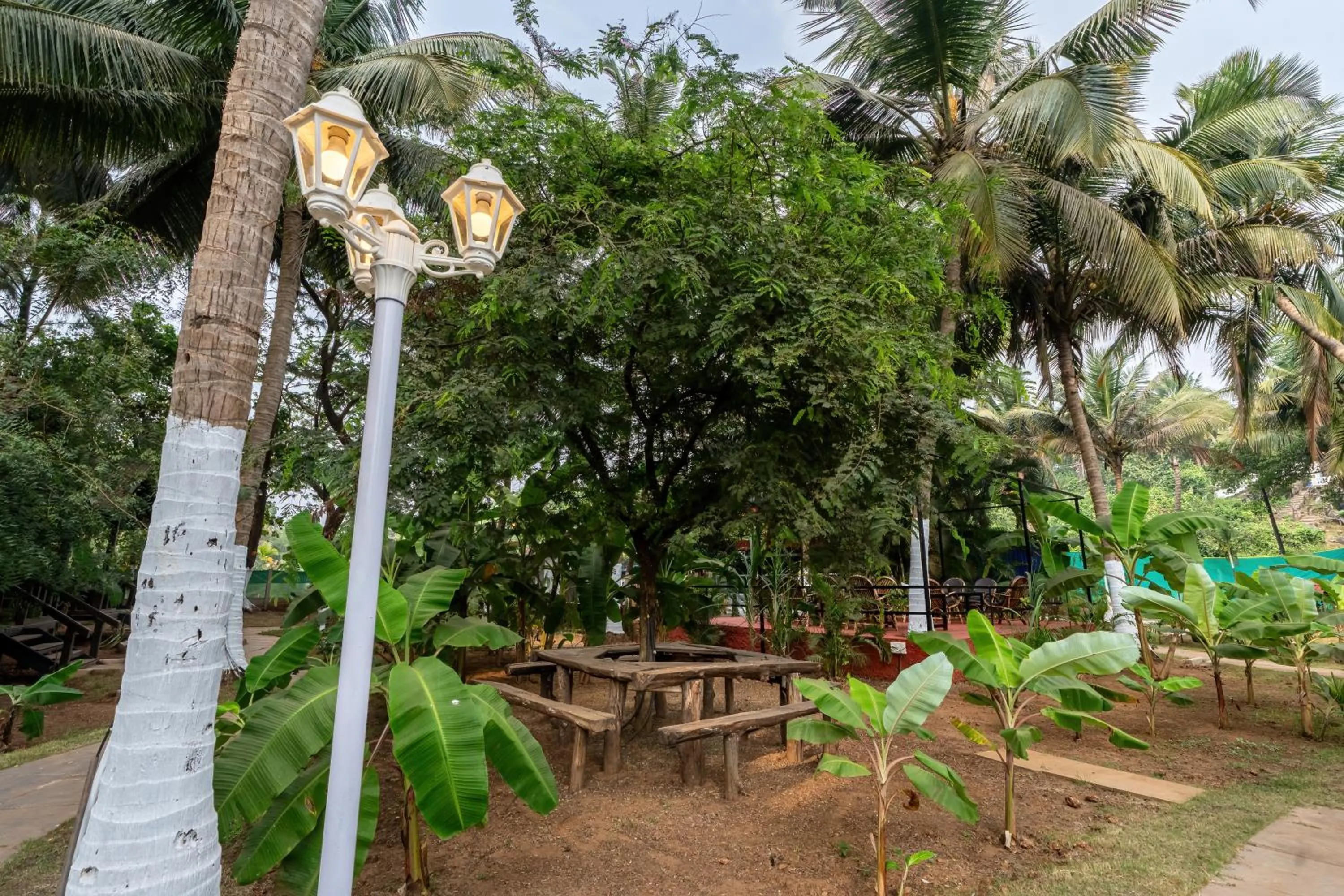 Garden view in The Exotica Agonda