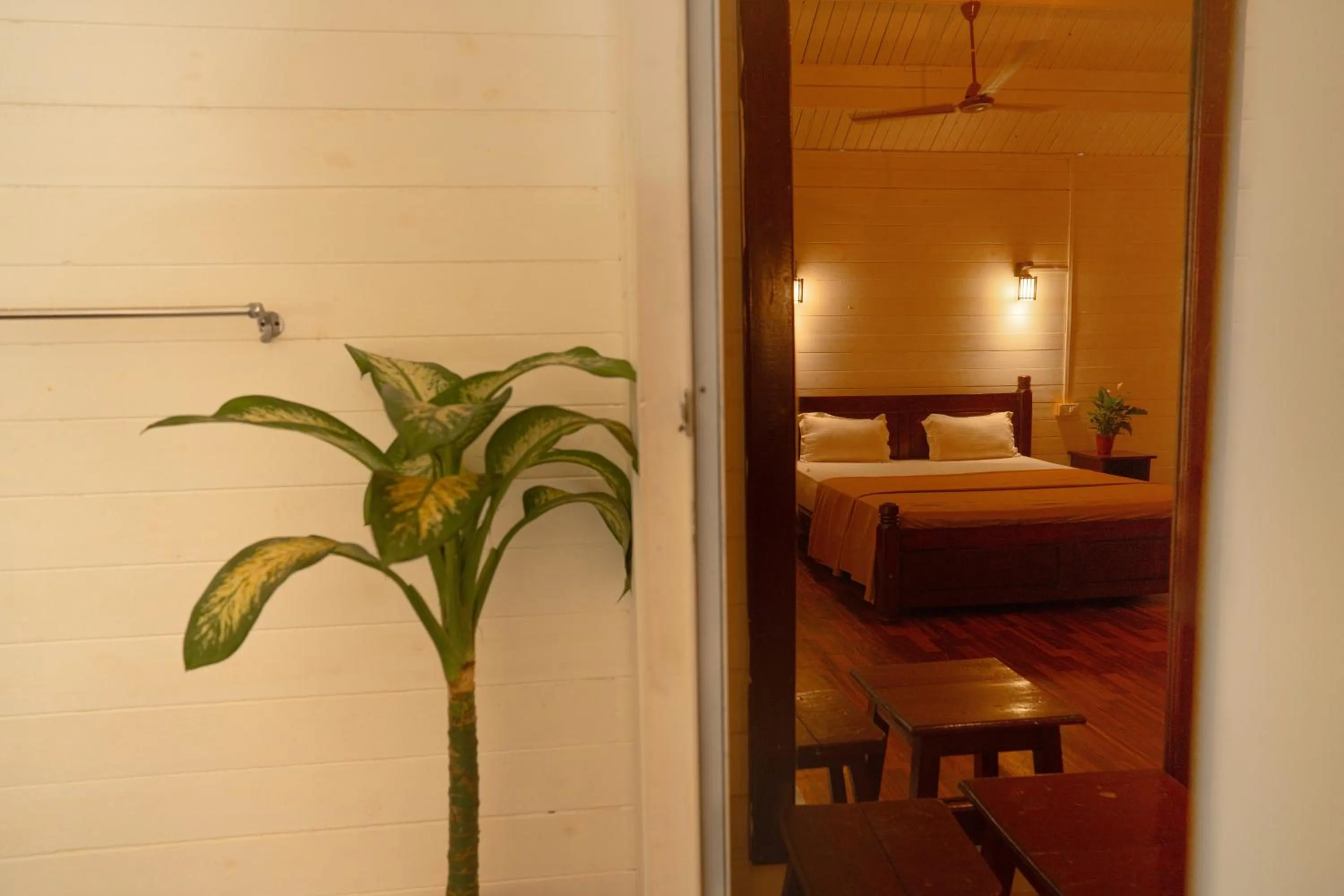 The Exotica Agonda
