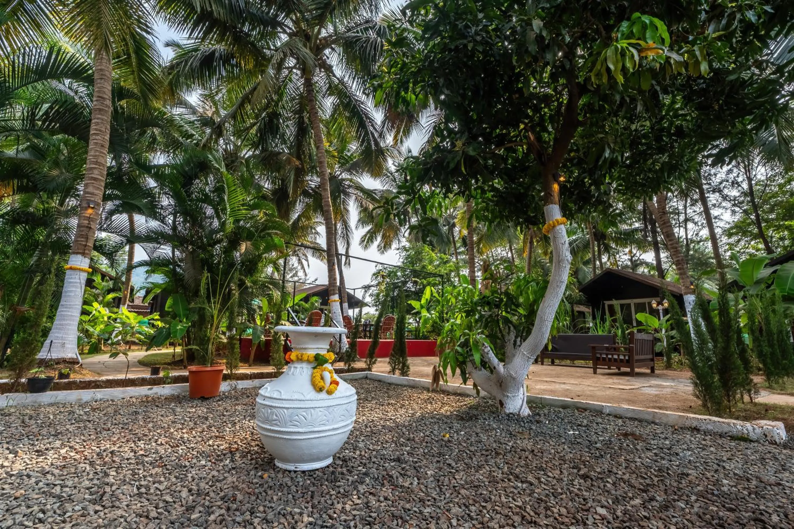 Garden view in The Exotica Agonda