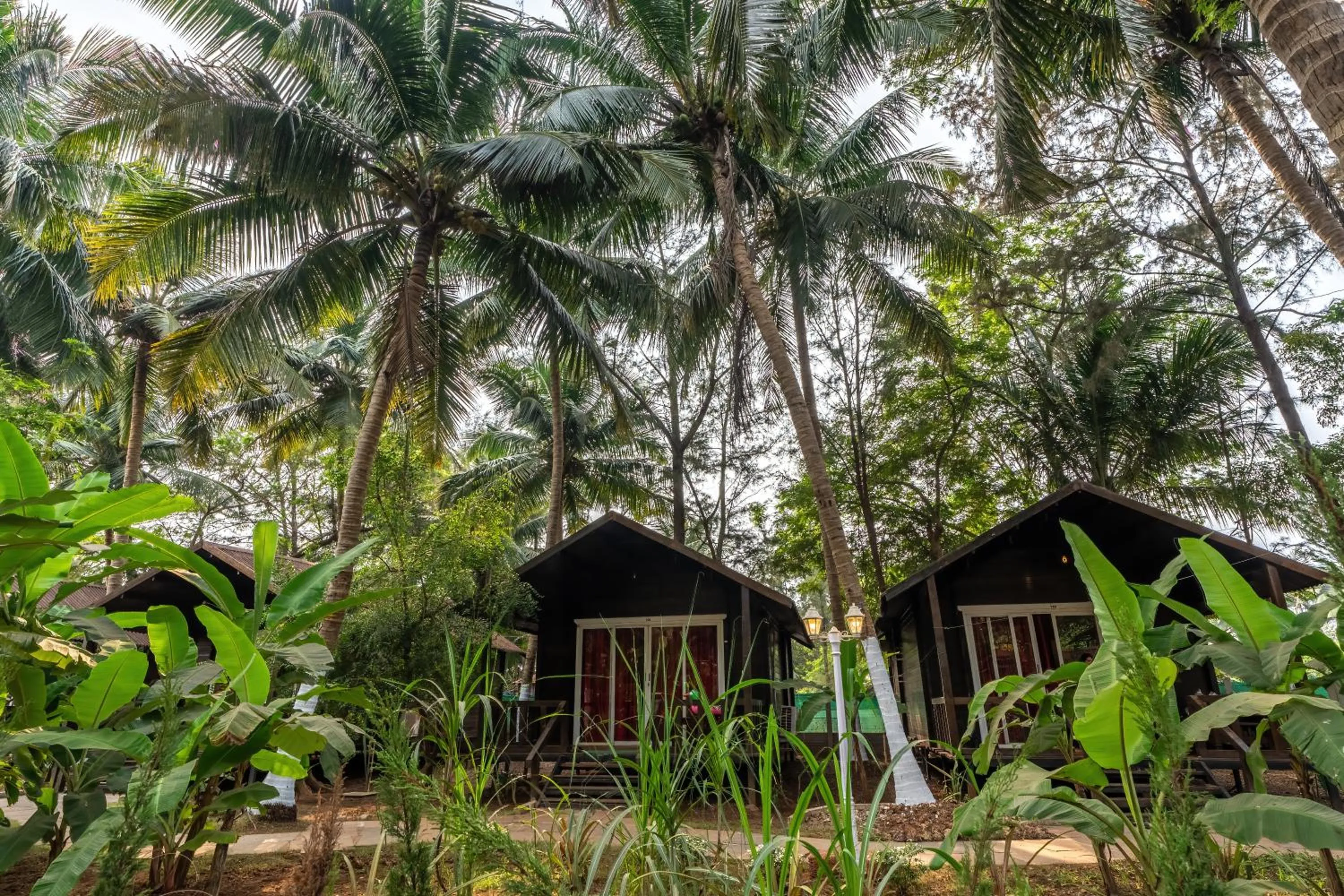 Garden view in The Exotica Agonda