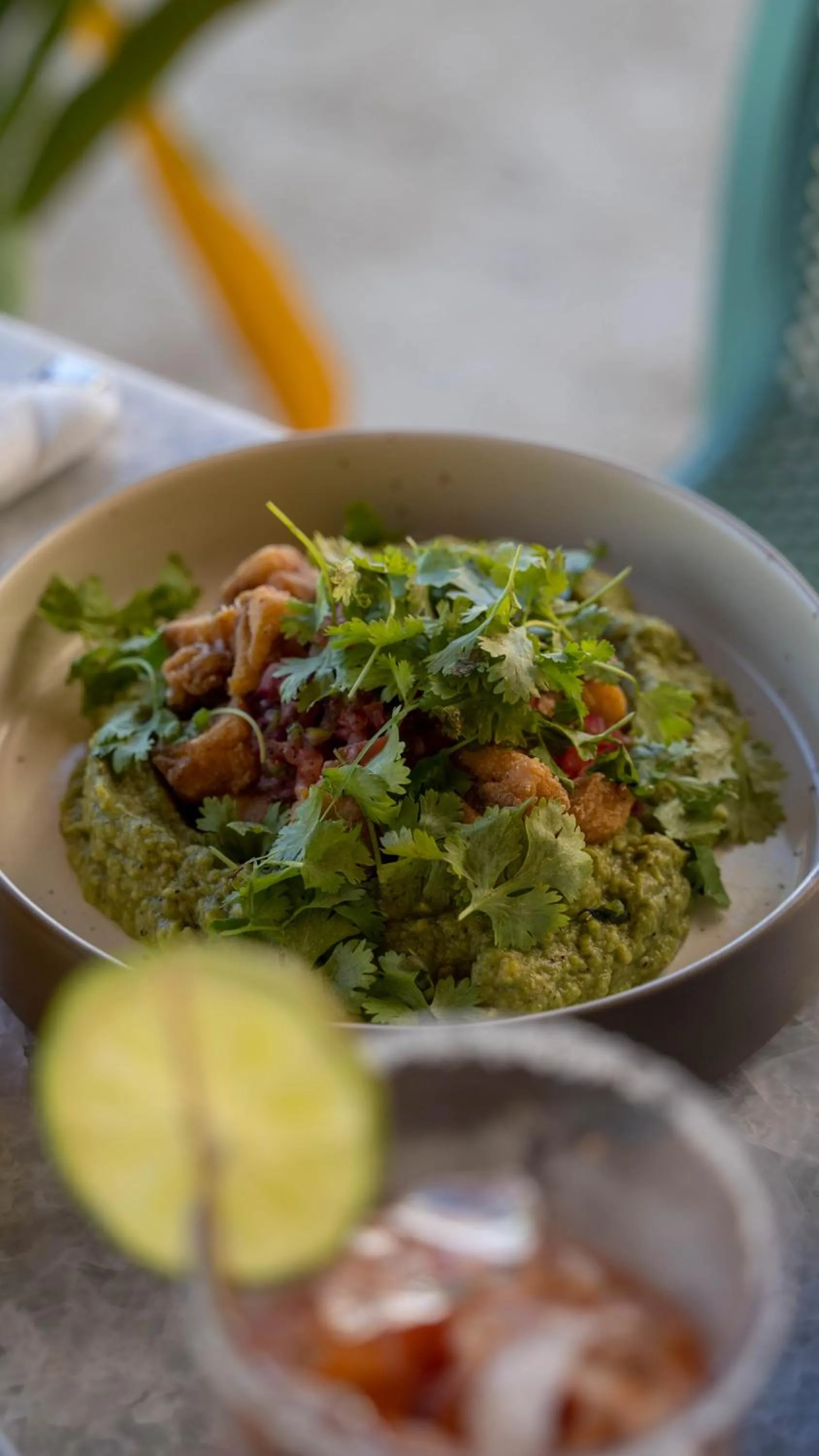 Restaurant/places to eat in Totem Beach Club - Celestun