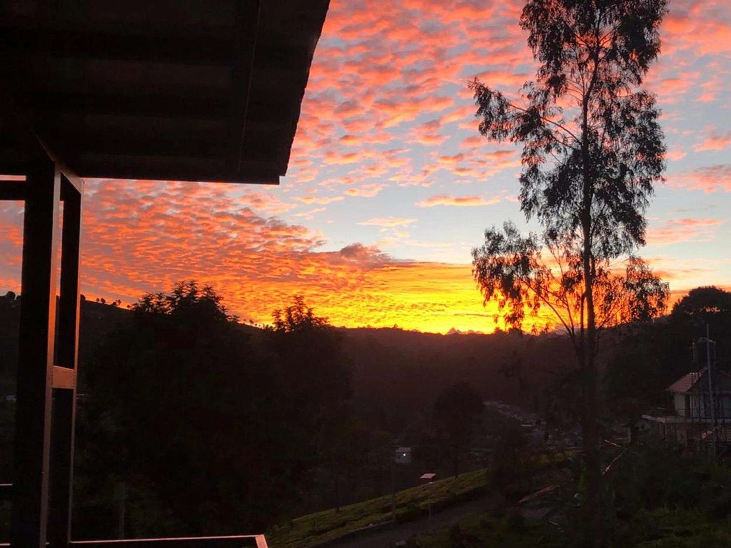 Day in Moonlight Chillers By LexStays