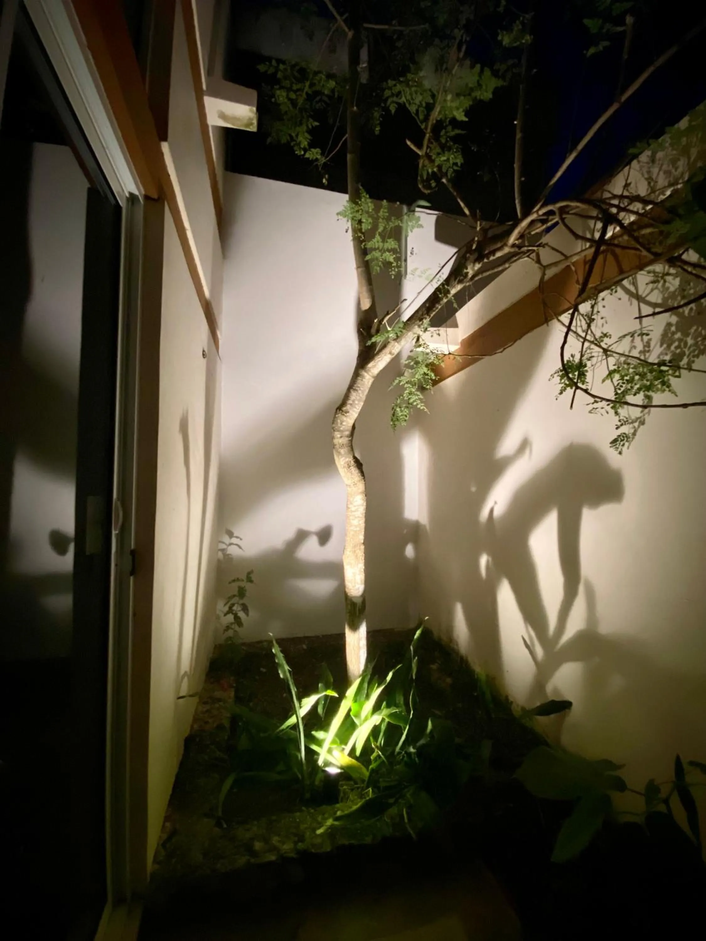 Garden in Casa Cielito Lindo Cozumel