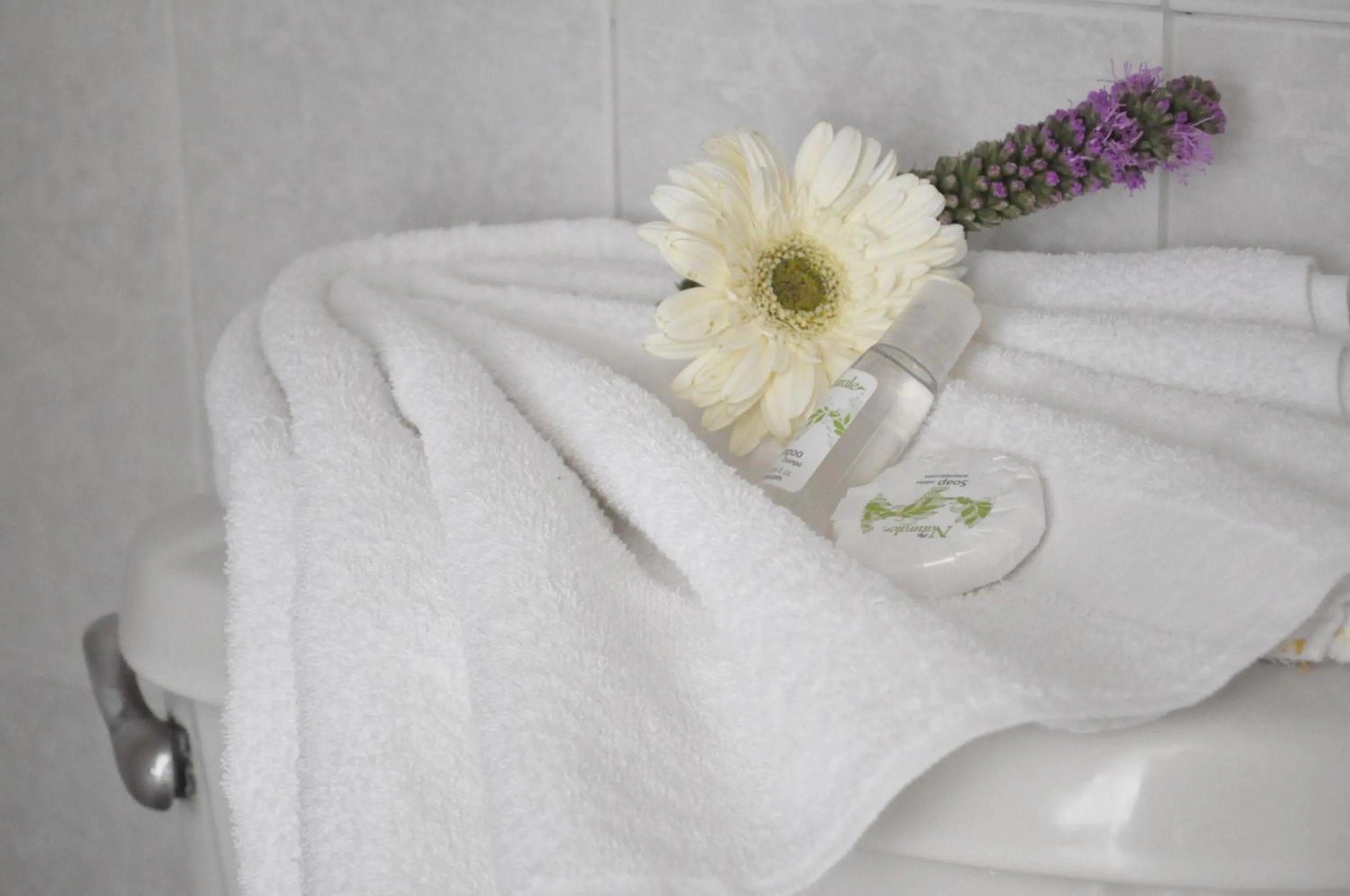 Shower in Hotel Viena