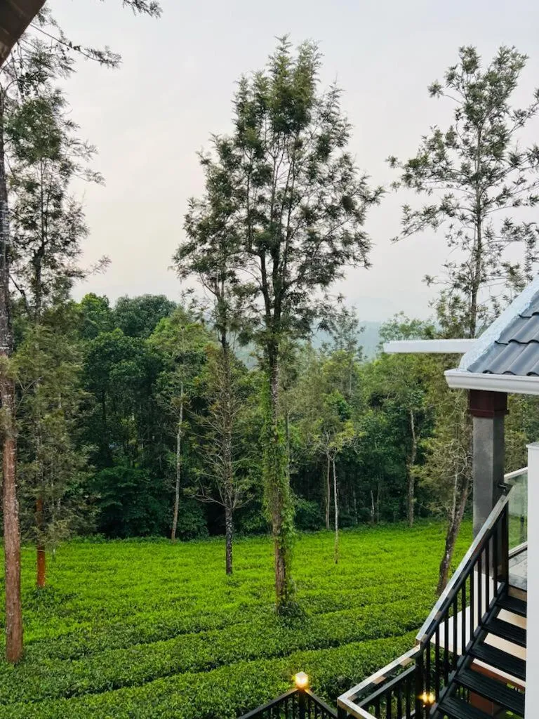 Pabis luxurious stay