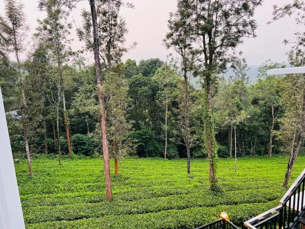 Pabis luxurious stay